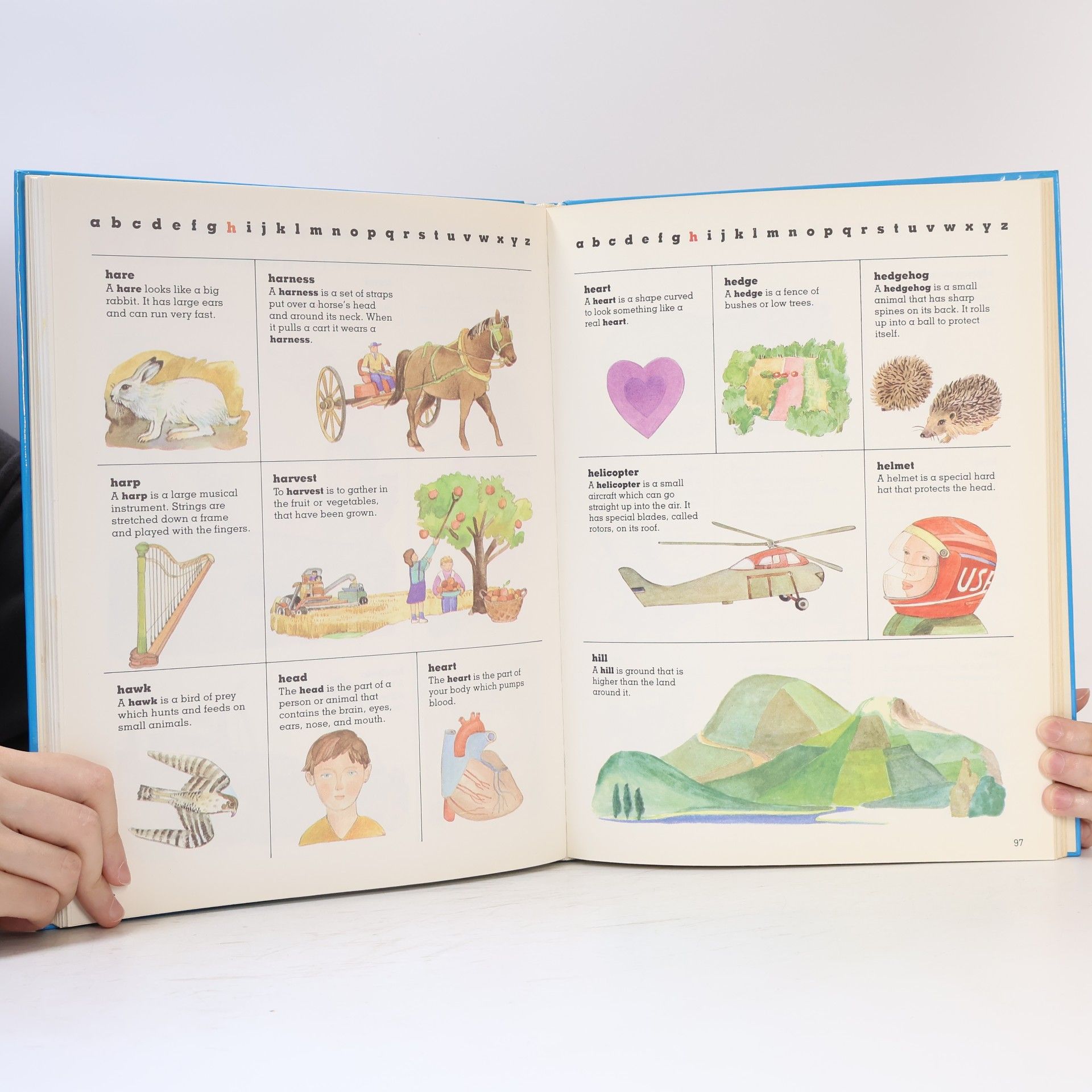 Collectif d'auteurs Children's First Dictionary