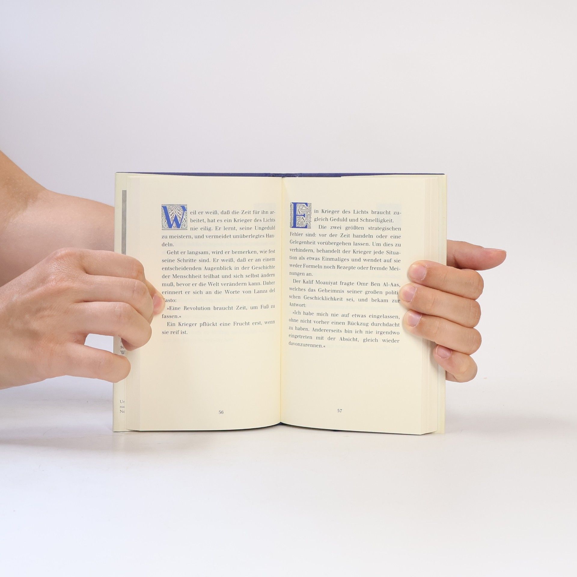 Paulo Coelho Handbuch des Kriegers des Lichts