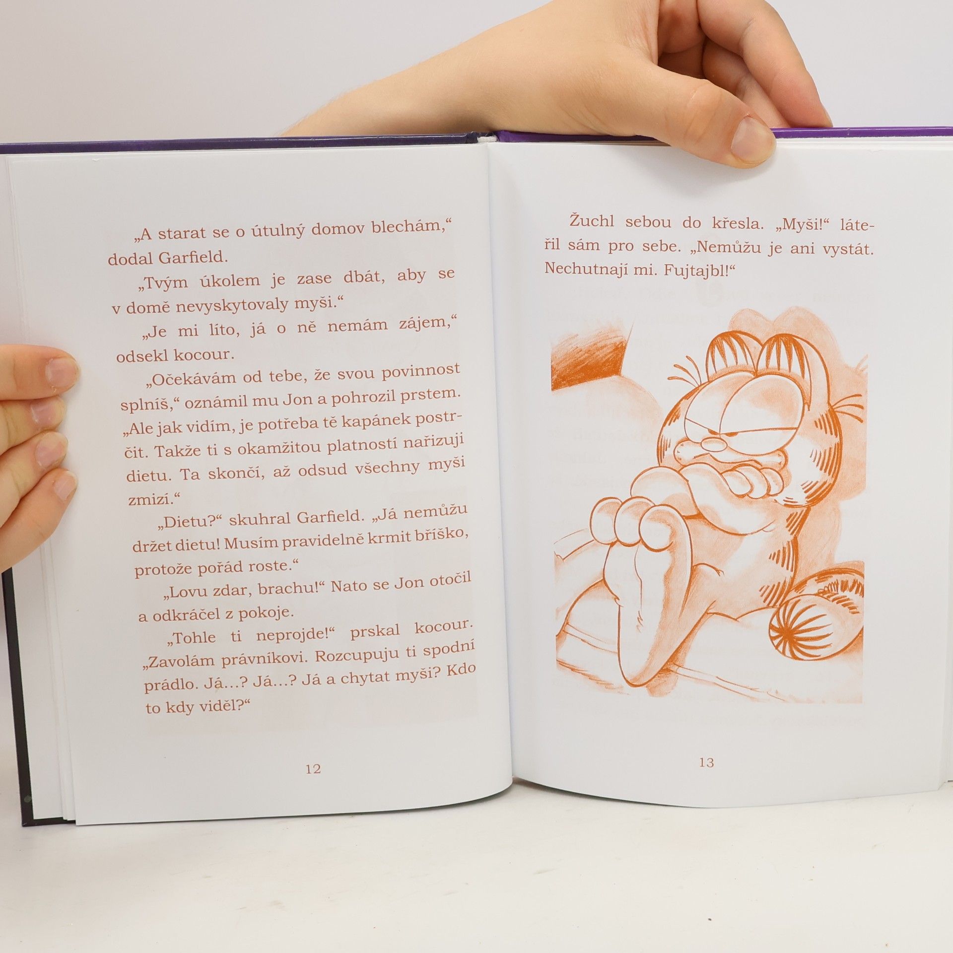 Jim Davis Garfield a tajemný přízrak