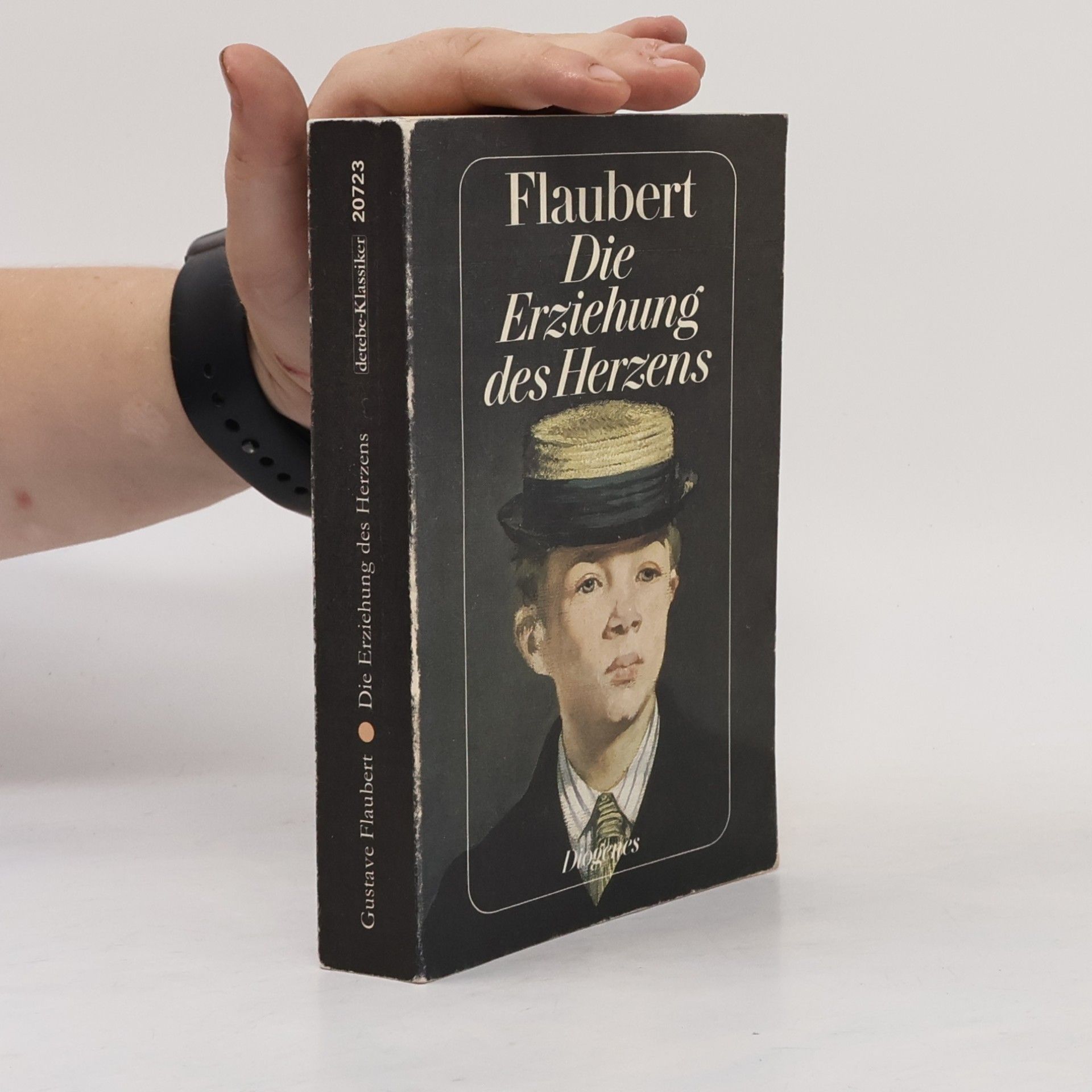 Gustave Flaubert Die Erziehung des Herzens