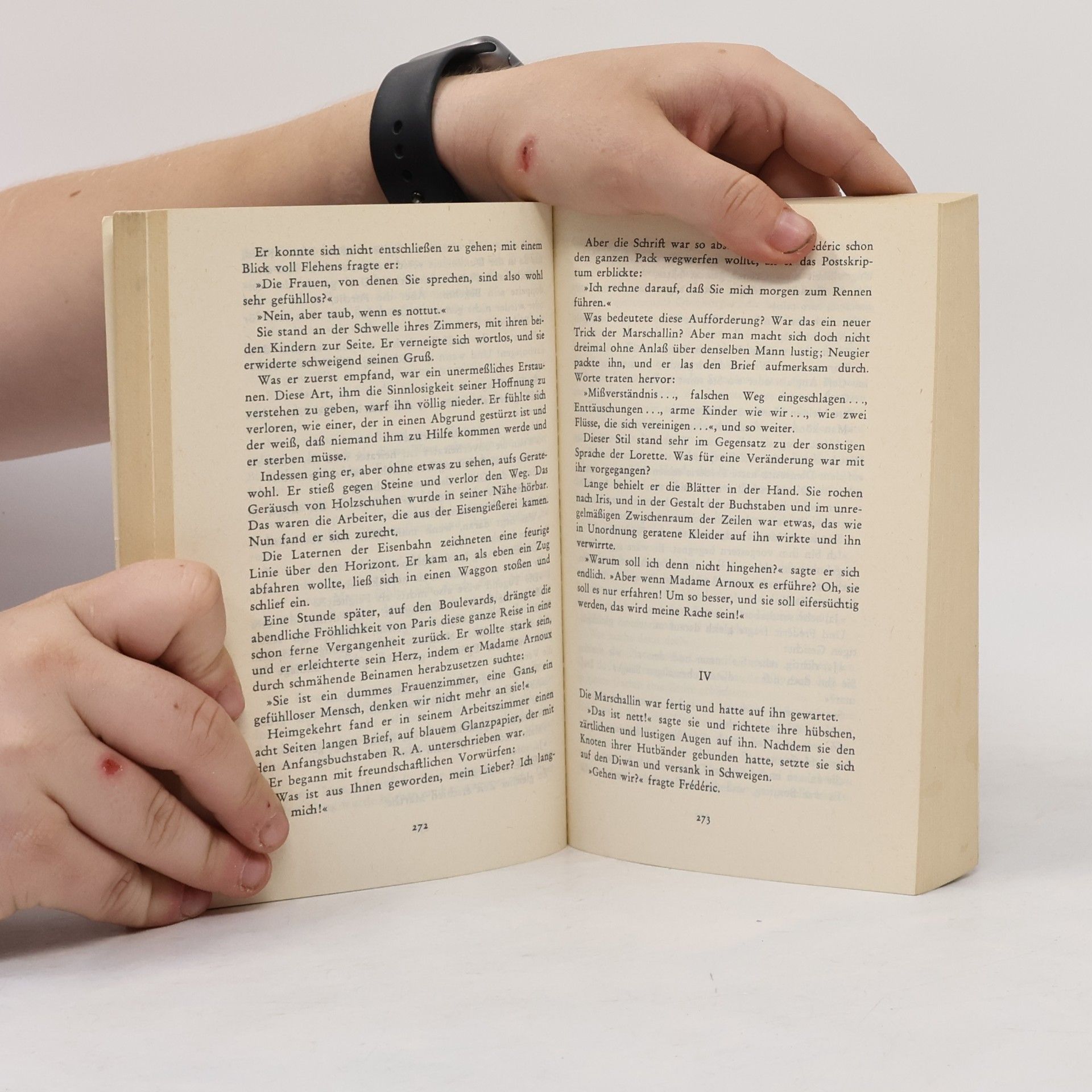 Gustave Flaubert Die Erziehung des Herzens