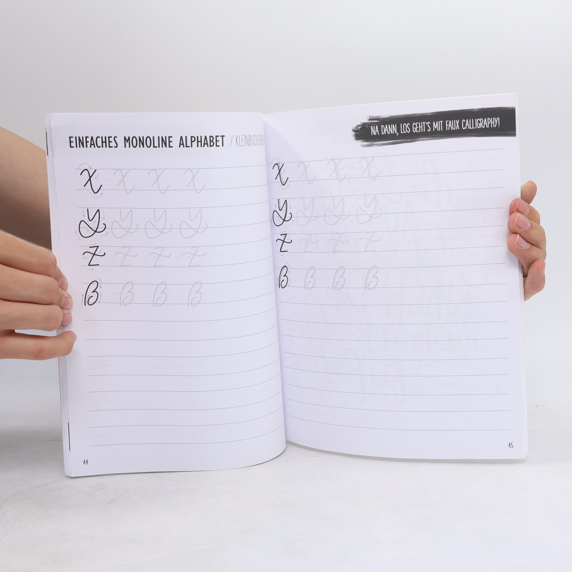 Lucy June Das ultimative Handbuch für moderne Kalligrafie & Hand Lettering für Anfänger