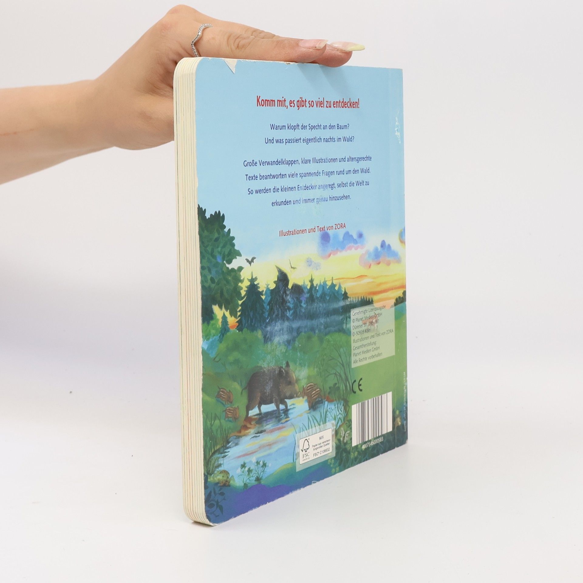 Autorenkollektiv Das ist der Wald