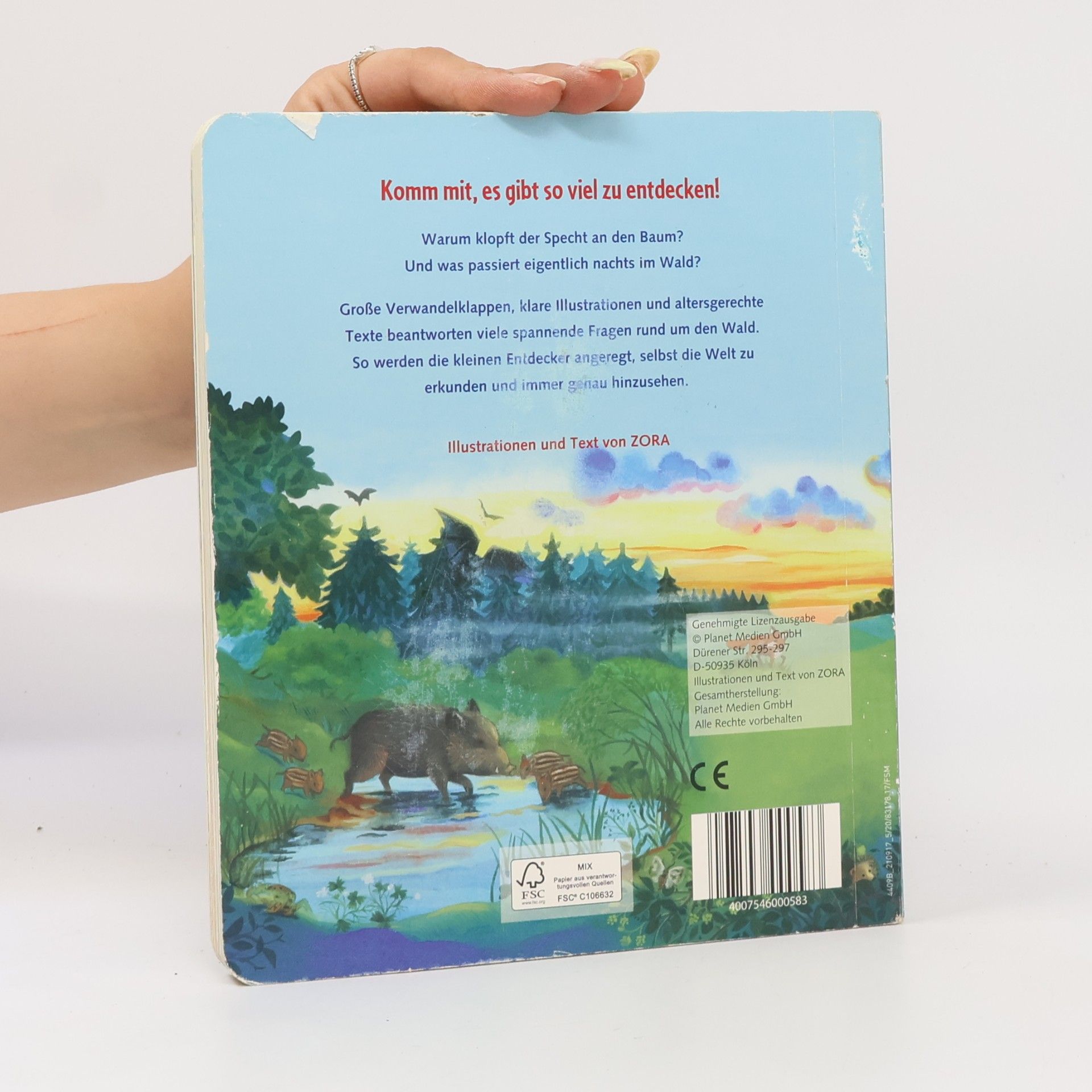Autorenkollektiv Das ist der Wald