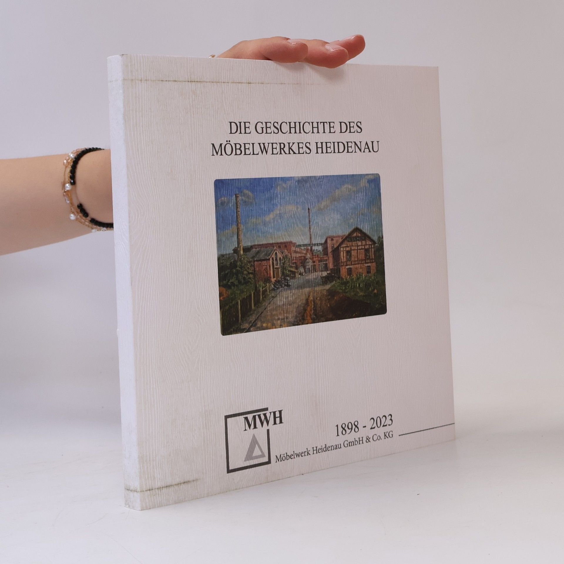 kolektiv Die Geschichte des Möbelwerkes Heidenau