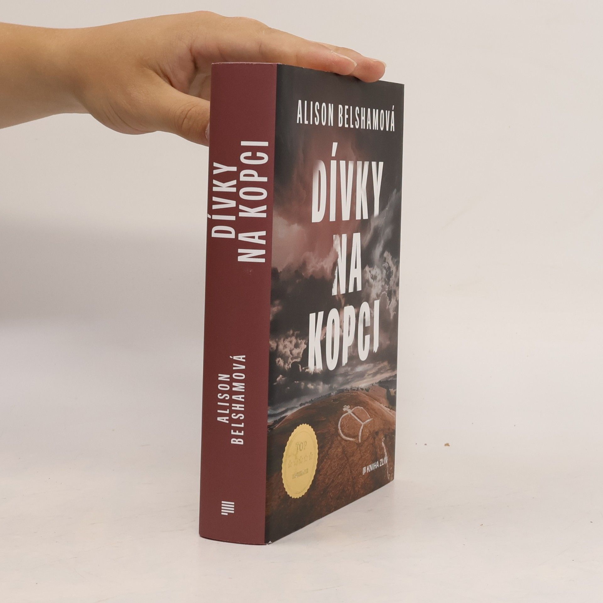 Alison Belsham Dívky na kopci
