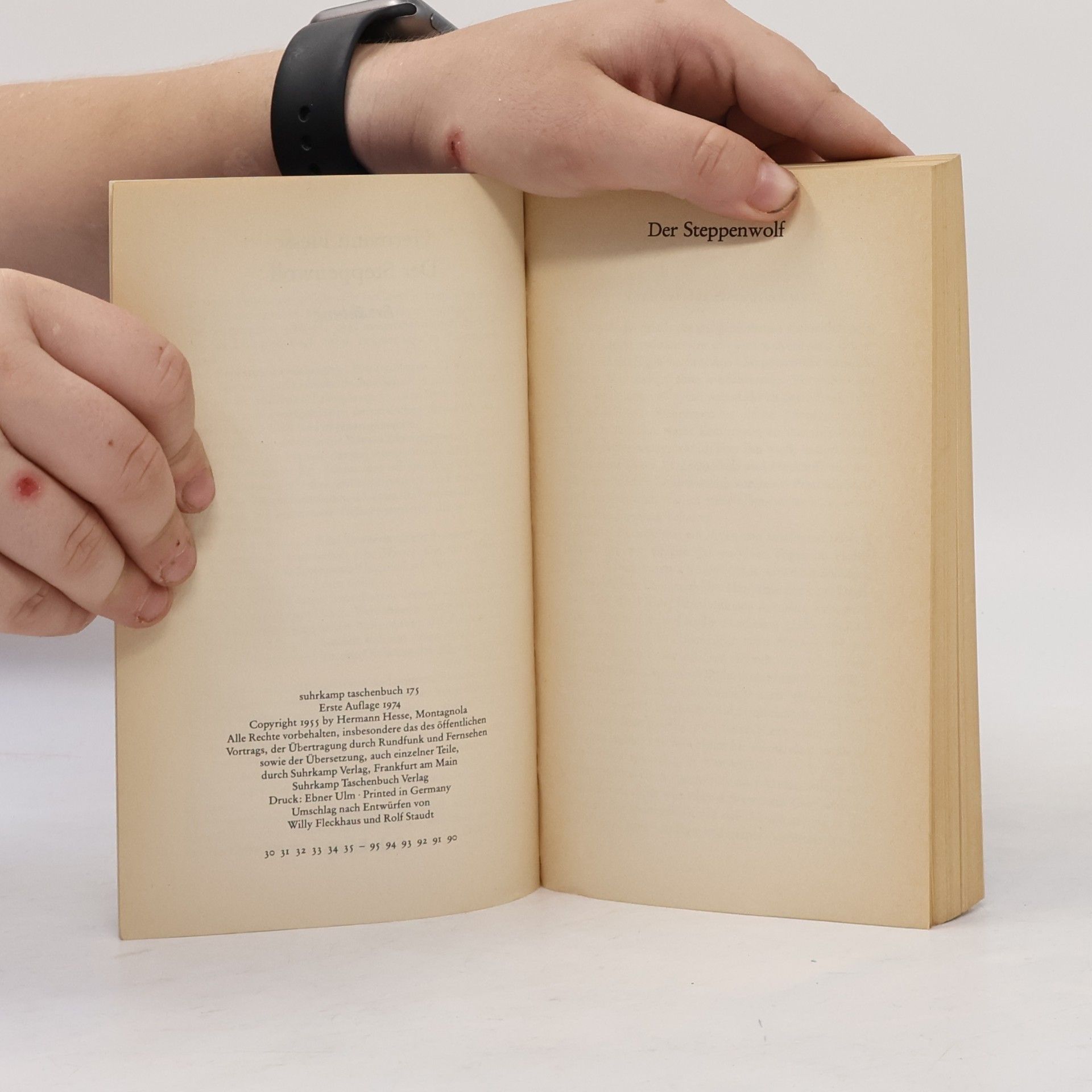 Hermann Hesse Der Steppenwolf