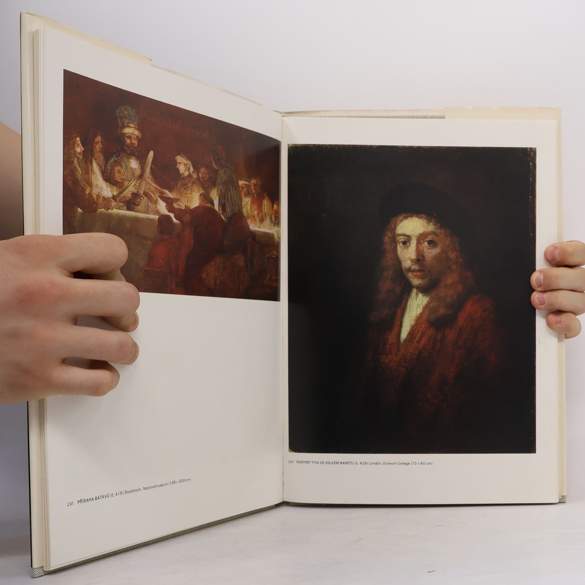Giovanni Arpino Rembrandt