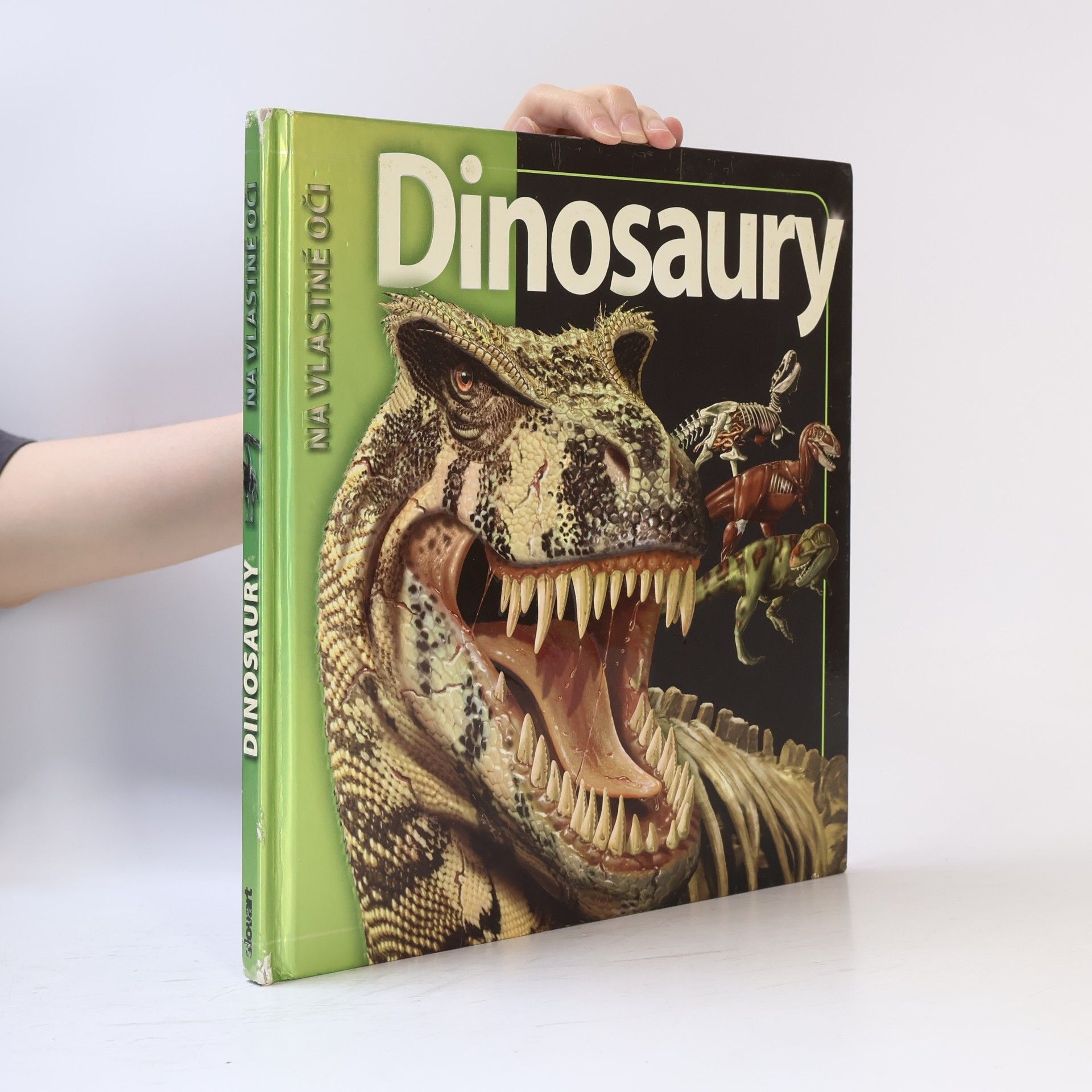 Autorenkollektiv Dinosaury