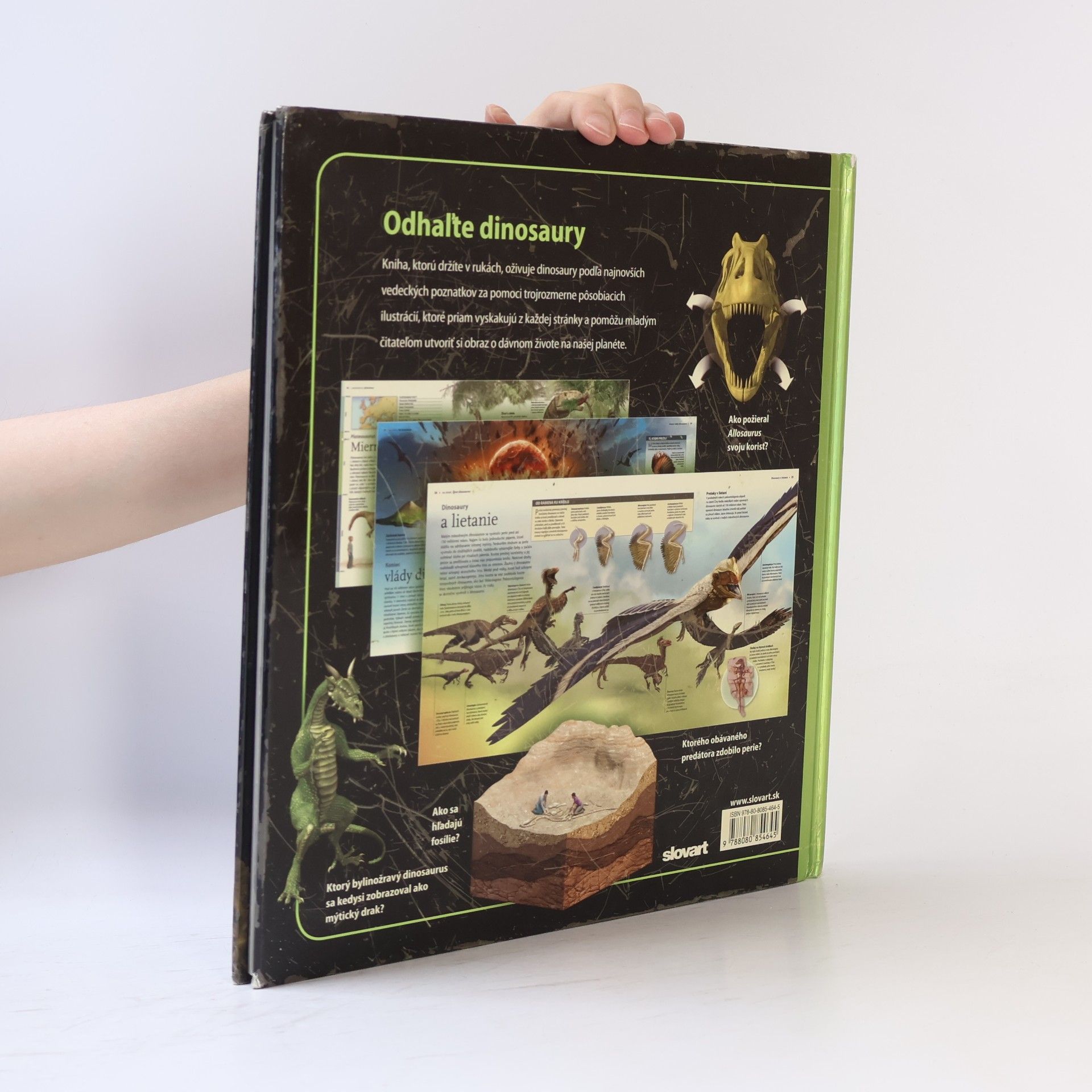 Autorenkollektiv Dinosaury
