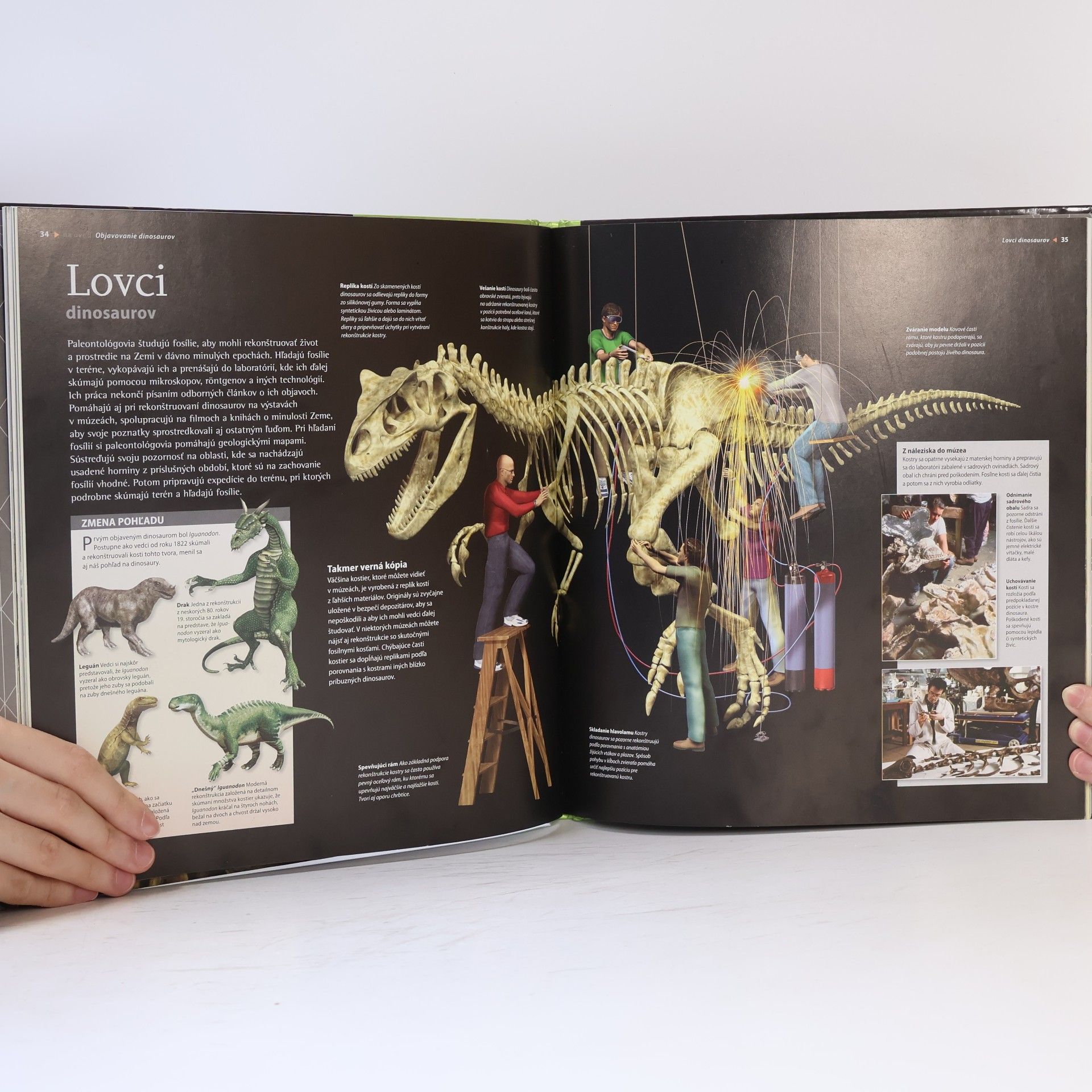 Autorenkollektiv Dinosaury