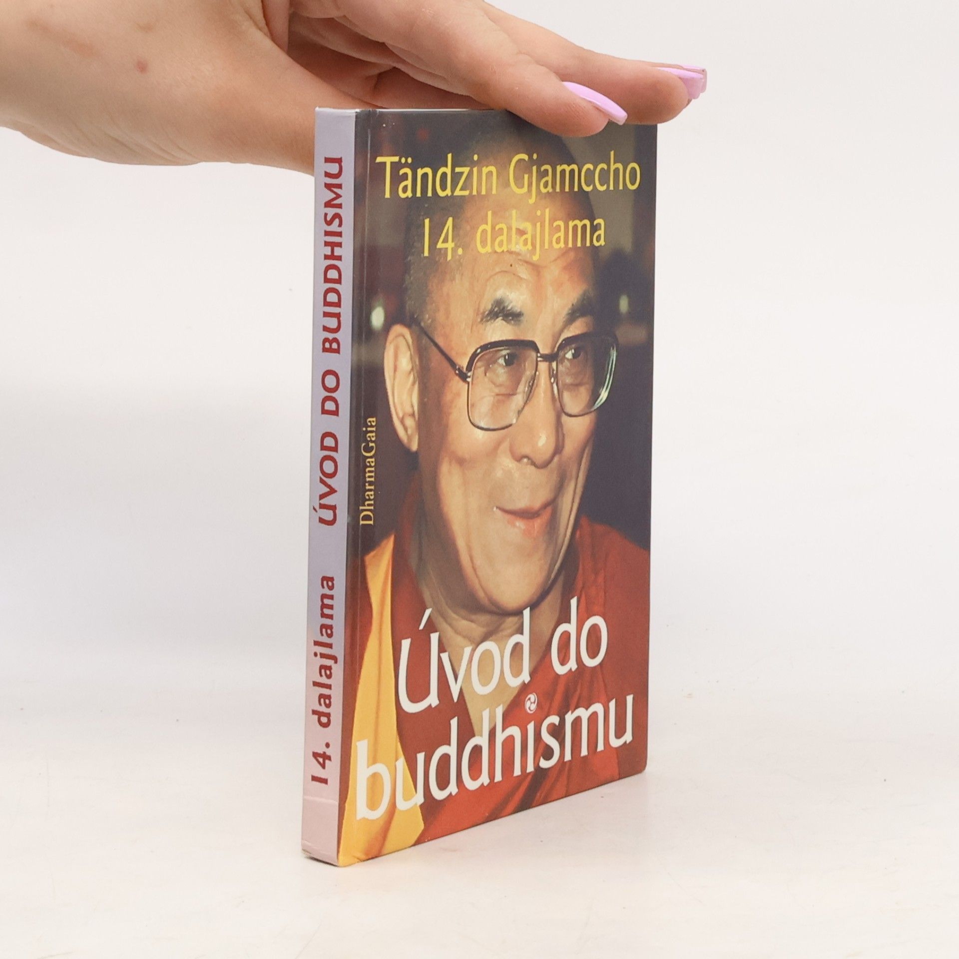 Bstan\'dzinrgyamtsho Úvod do buddhismu