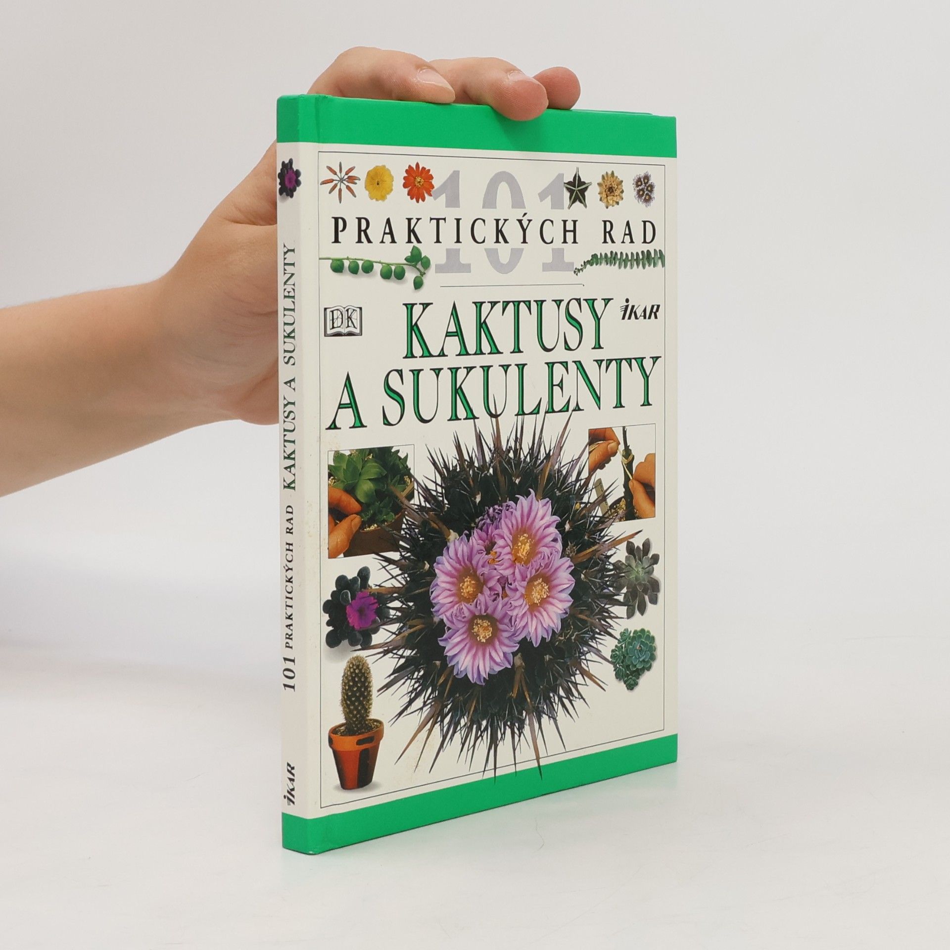 Kaktusy a sukulenty