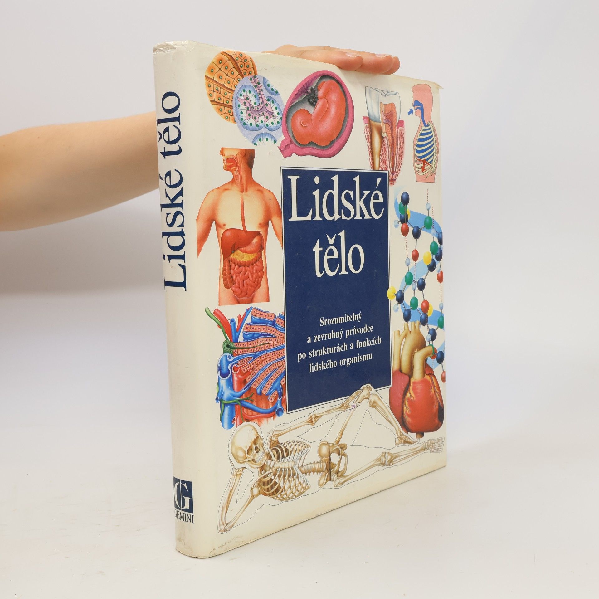 Lidské tělo
