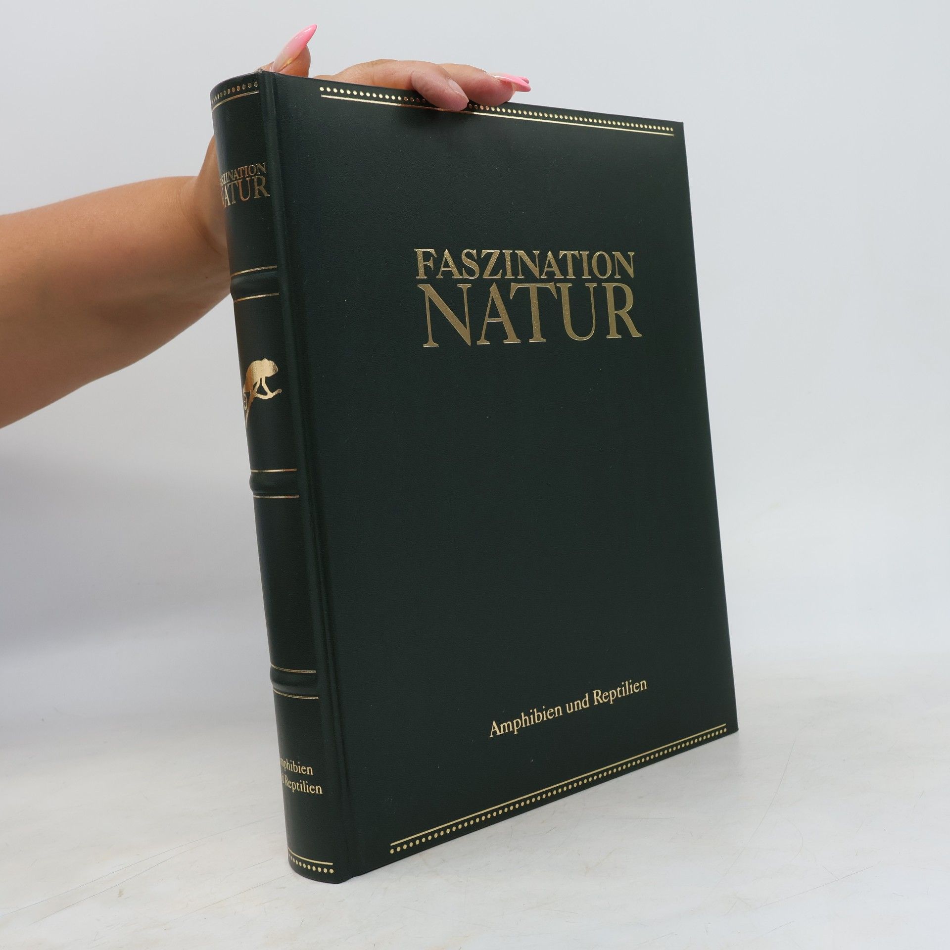 Kolektiv autorů Faszination Natur. Amphibien und Reptilien