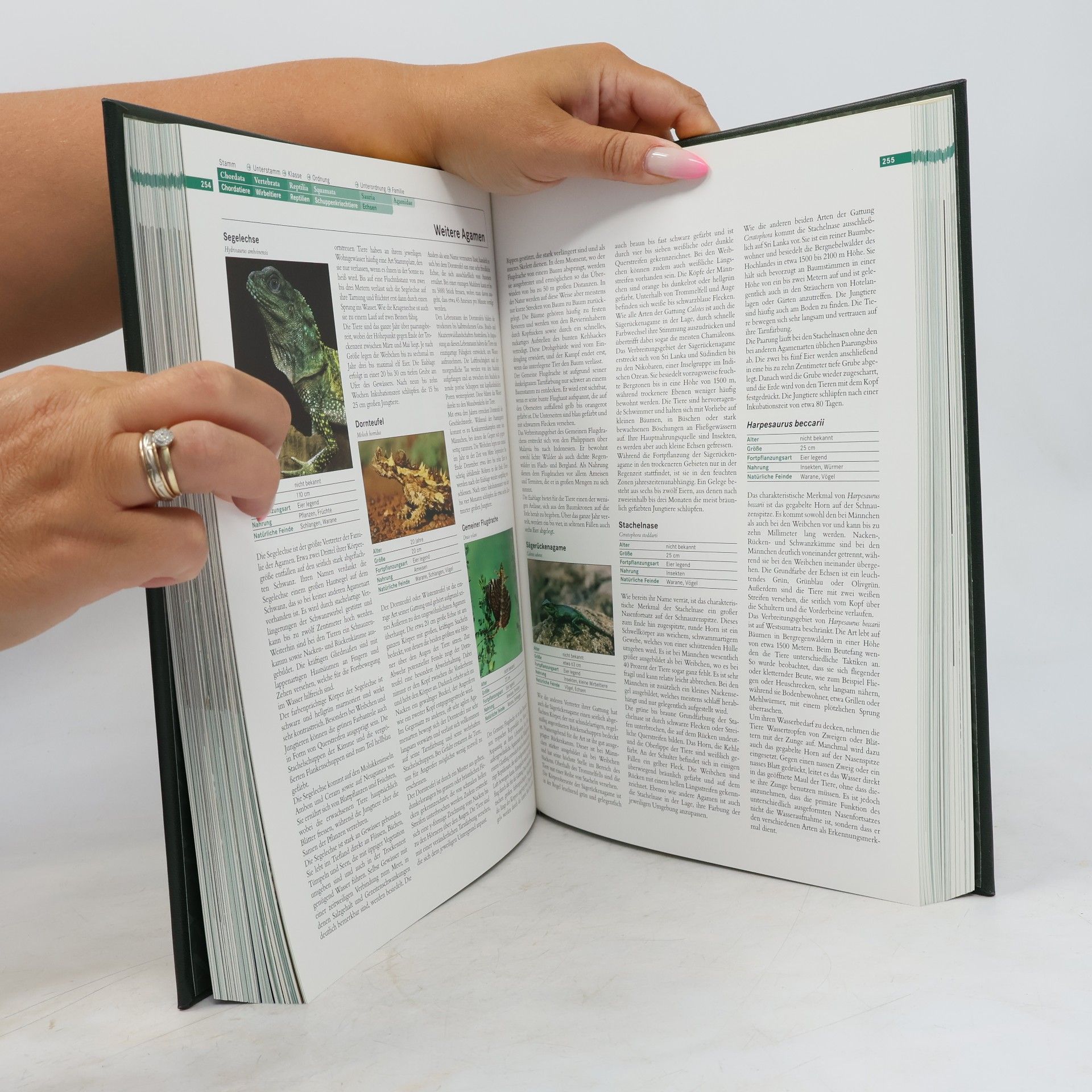 Various authors Faszination Natur. Amphibien und Reptilien
