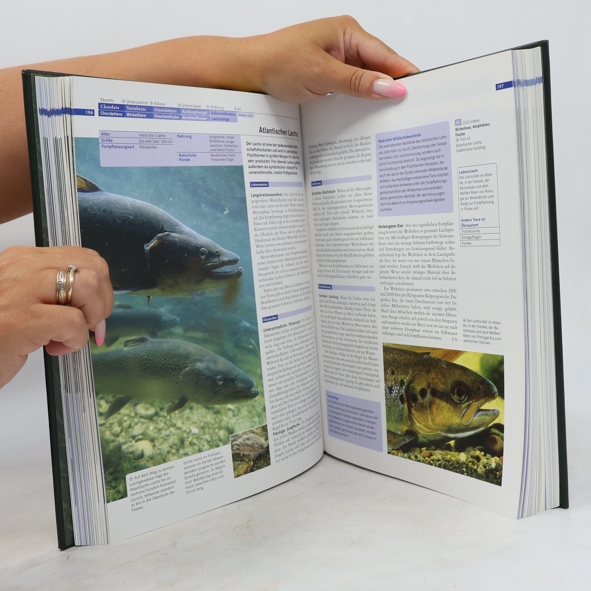 Various authors Faszination Natur. Fische