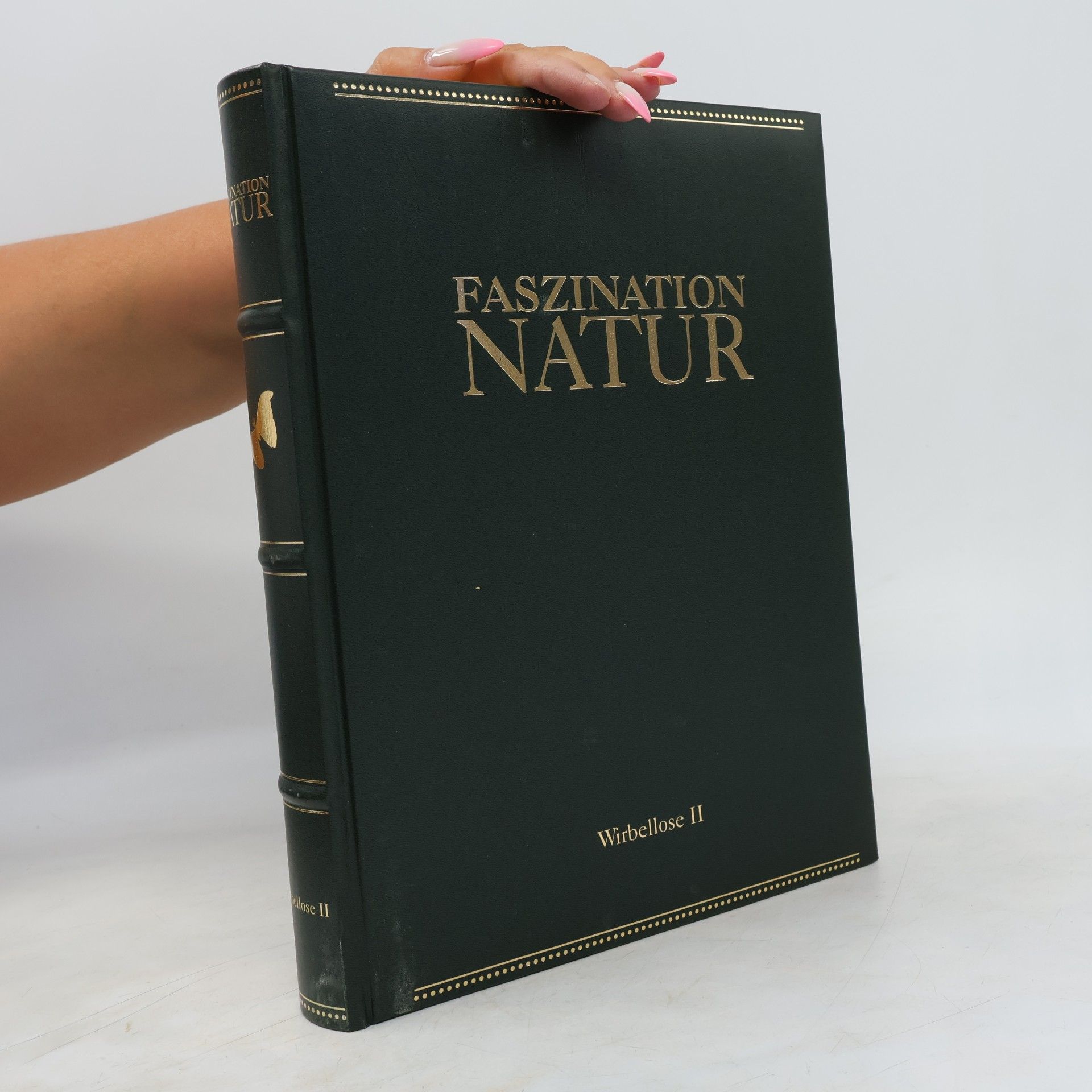 Autorenkollektiv Faszination Natur. Wirbellose II