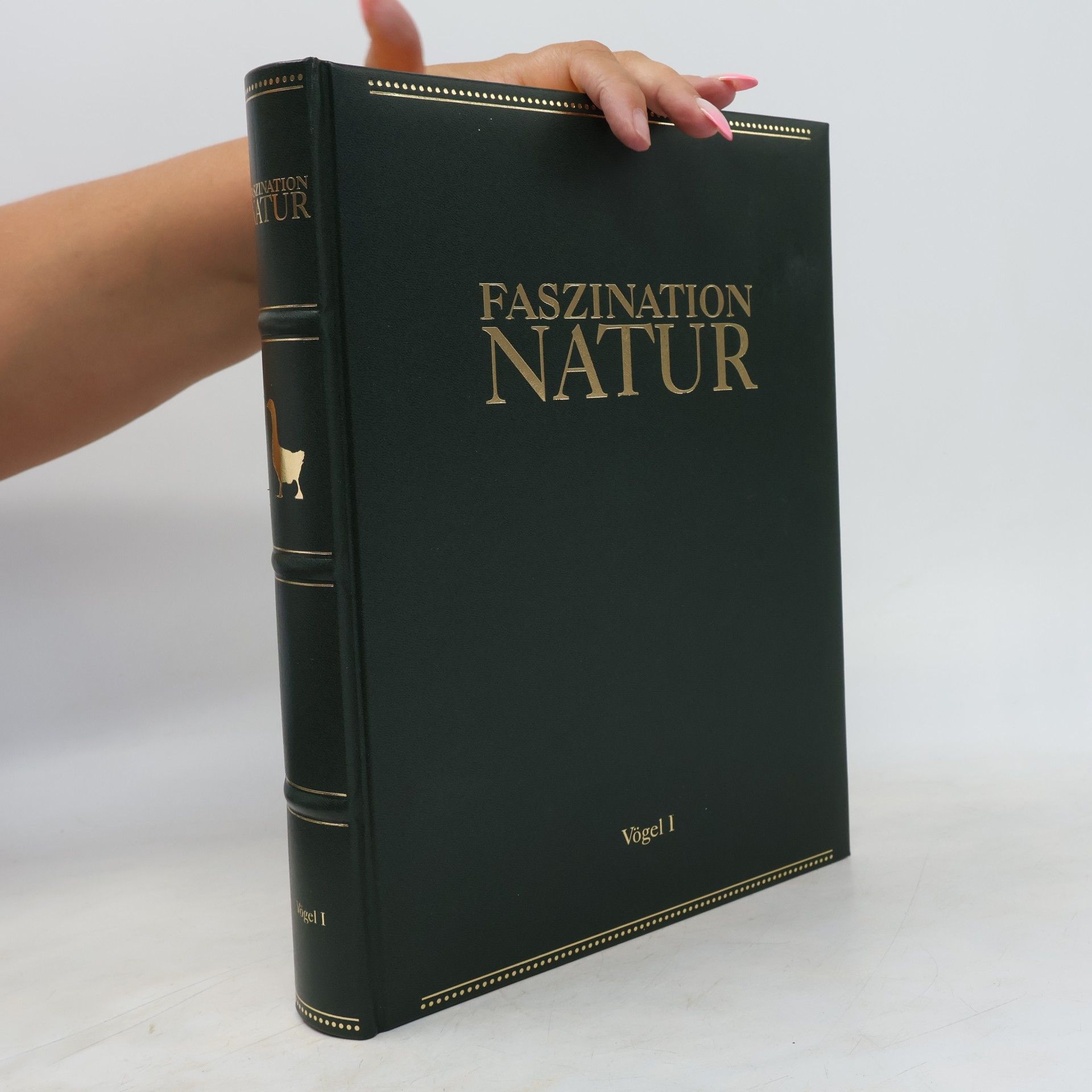 Autorenkollektiv Faszination Natur. Vögel I