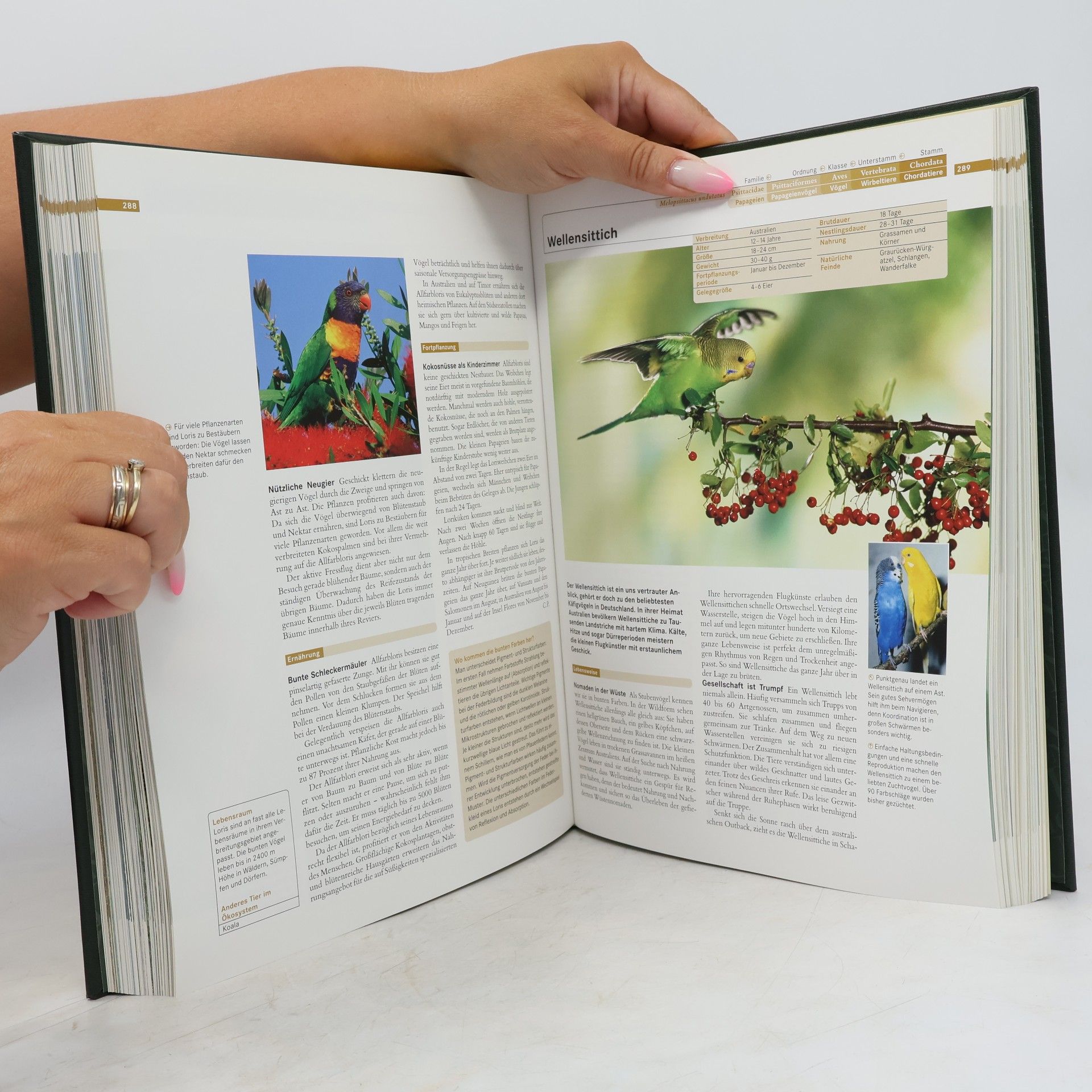 Various authors Faszination Natur. Vögel I