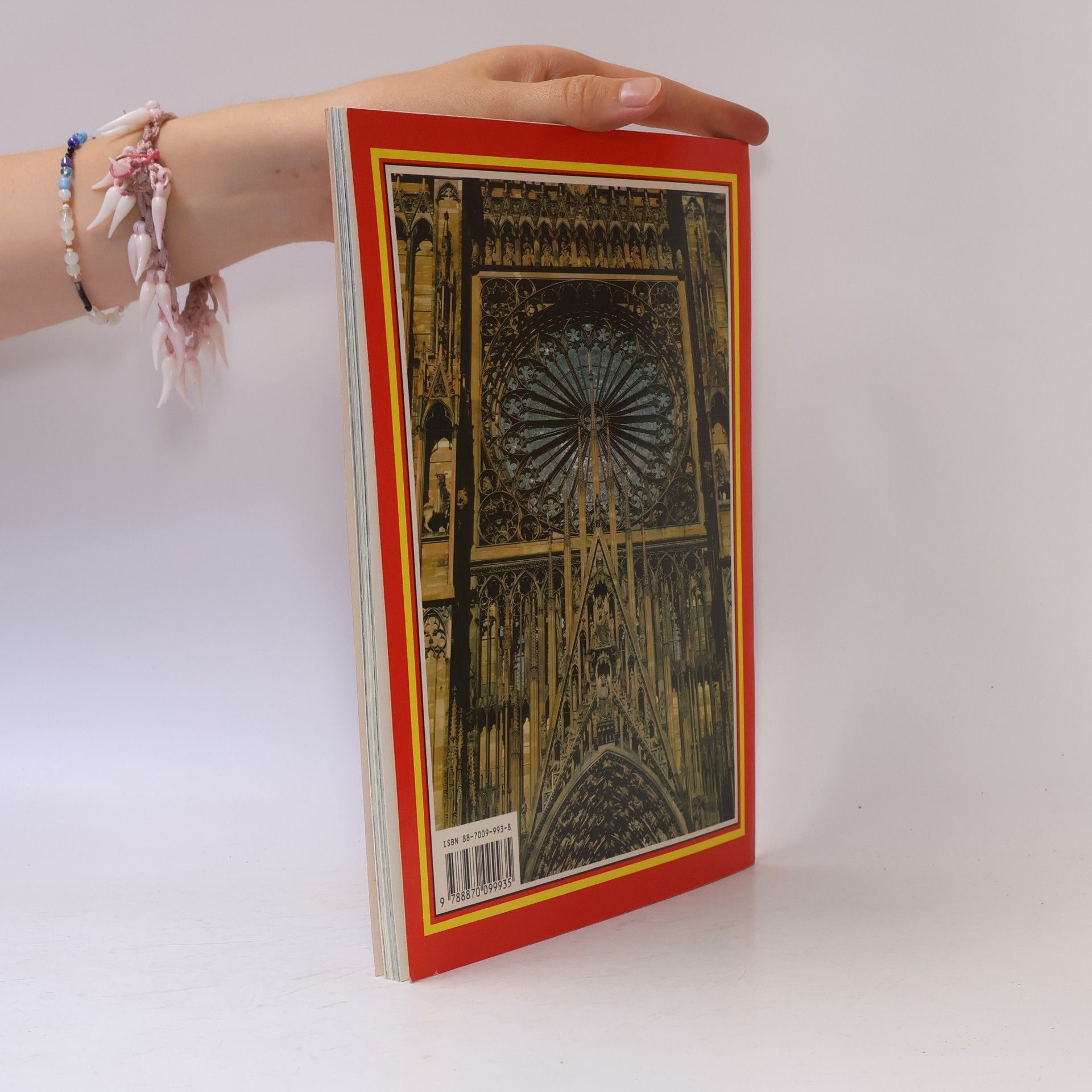 Annamaria Giusti Golden Book of Strasbourg - English Edition