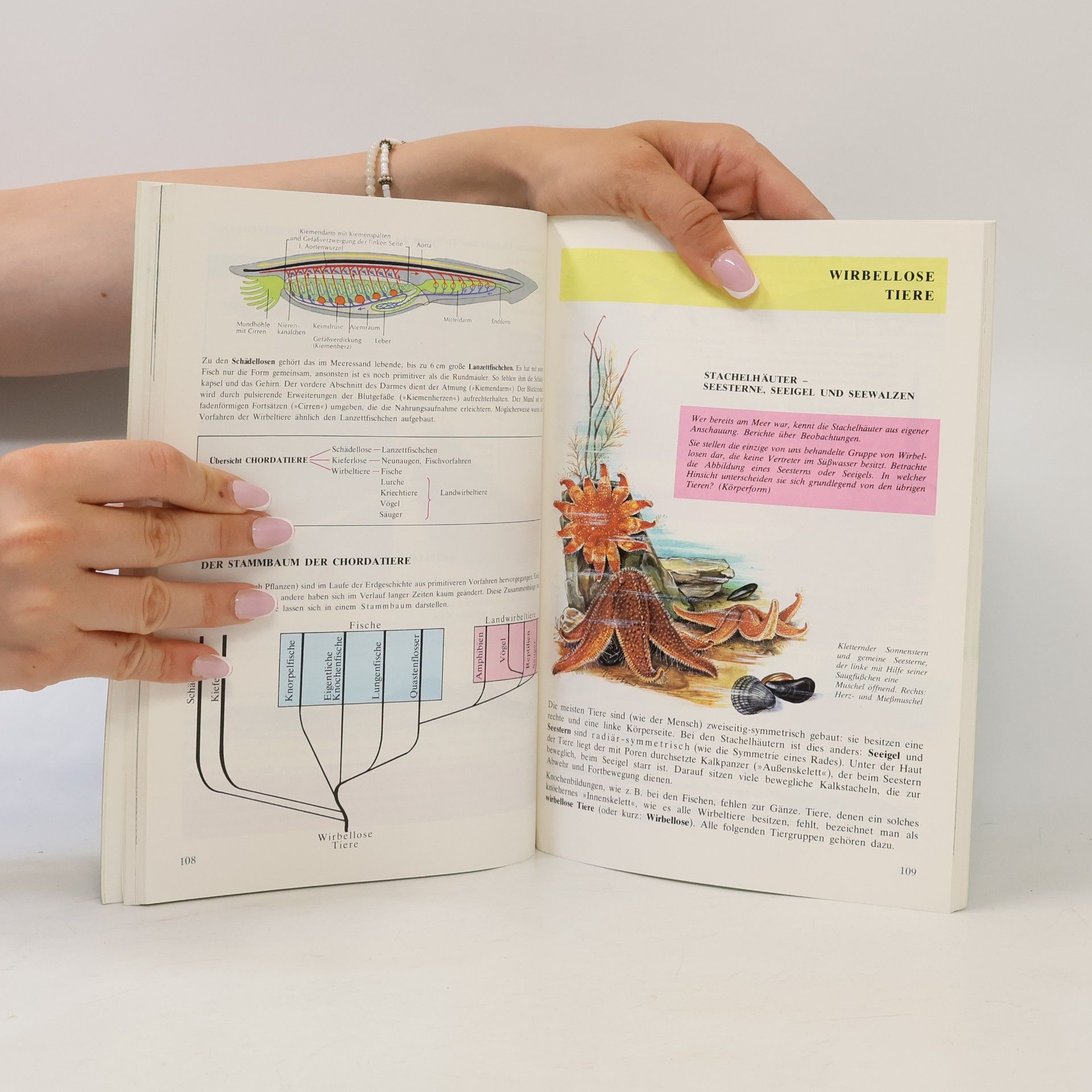 Autorenkollektiv Biologie und Umweltkunde 2