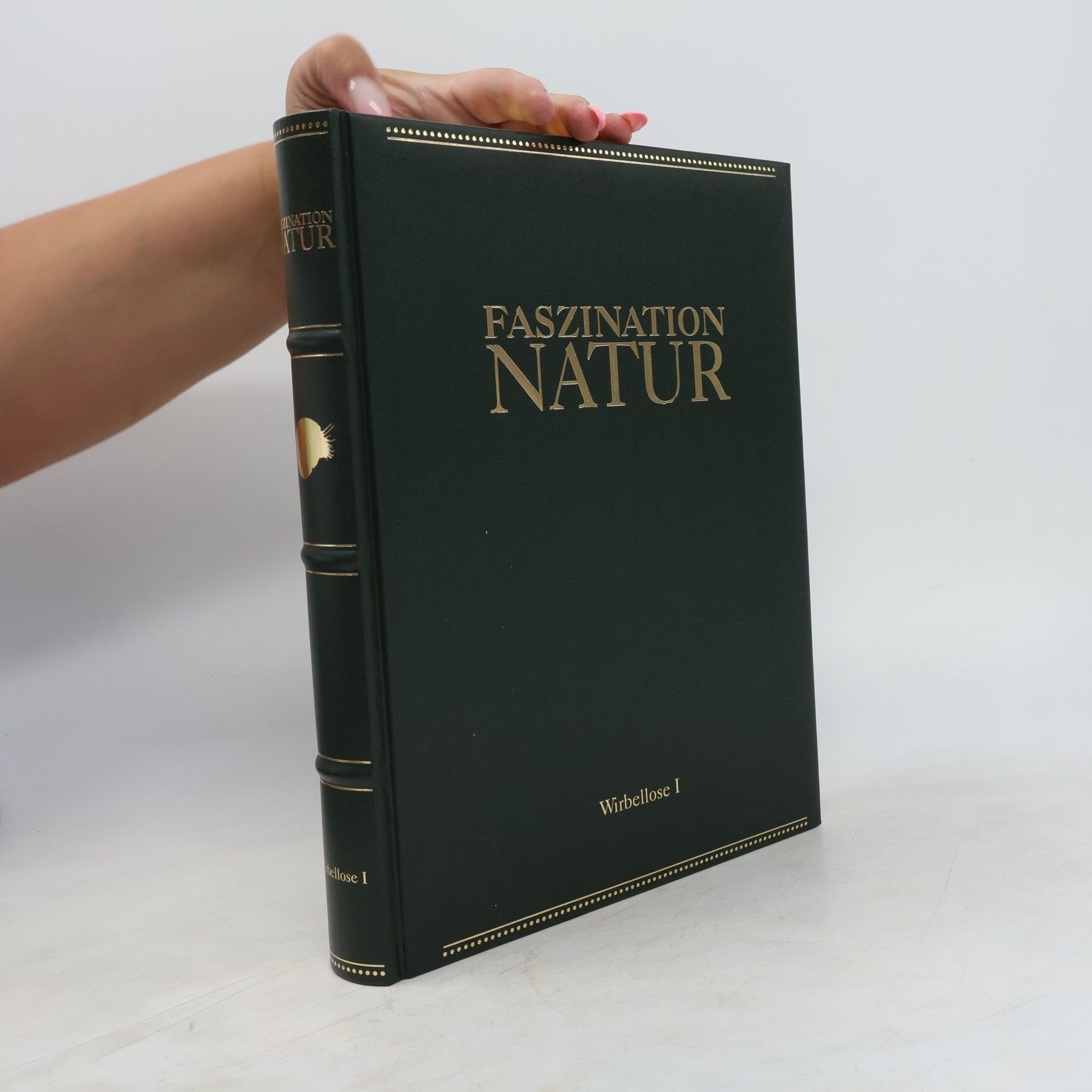 Autorenkollektiv Faszination Natur. Wirbellose I.