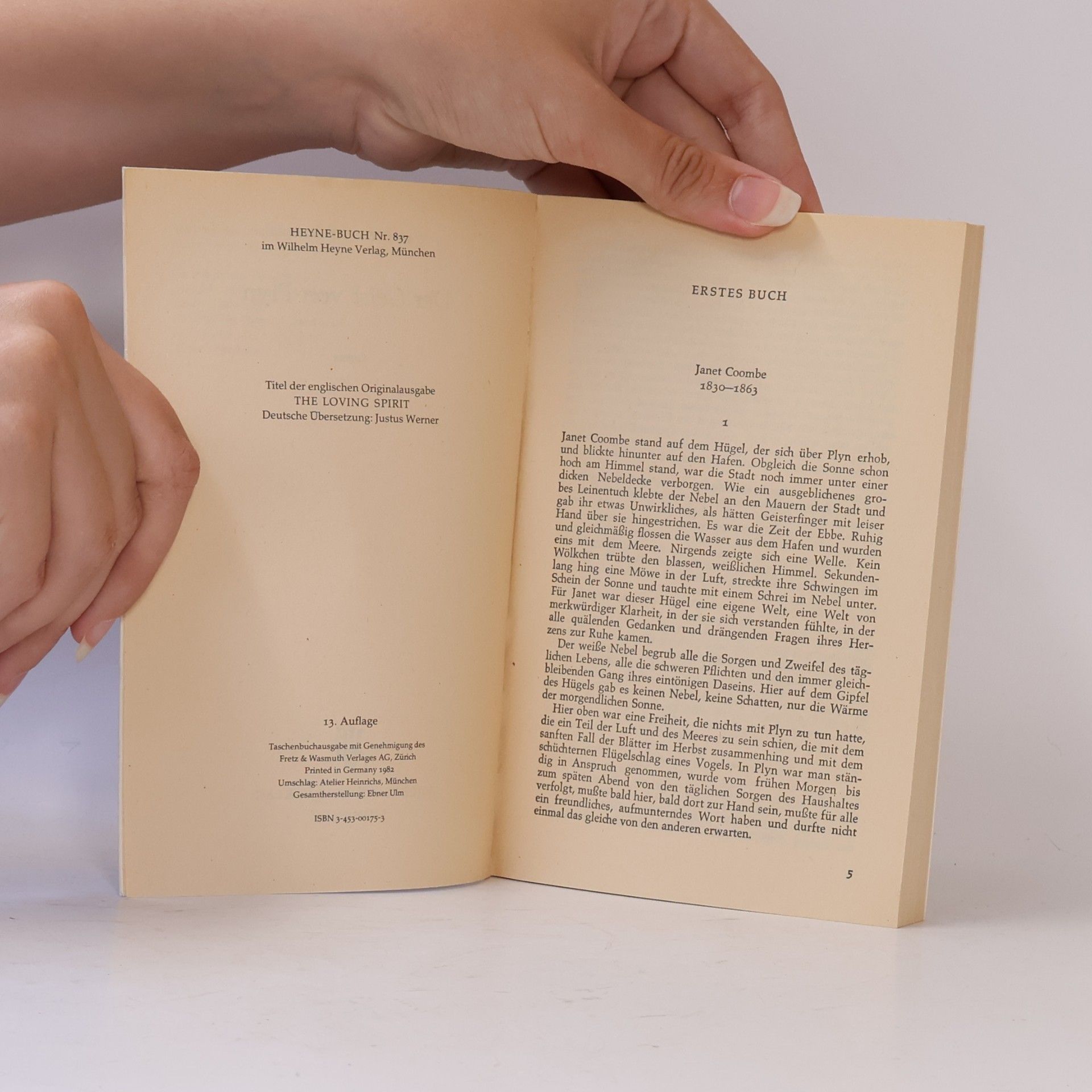 Daphne du Maurier Der Geist von Plyn. Roman