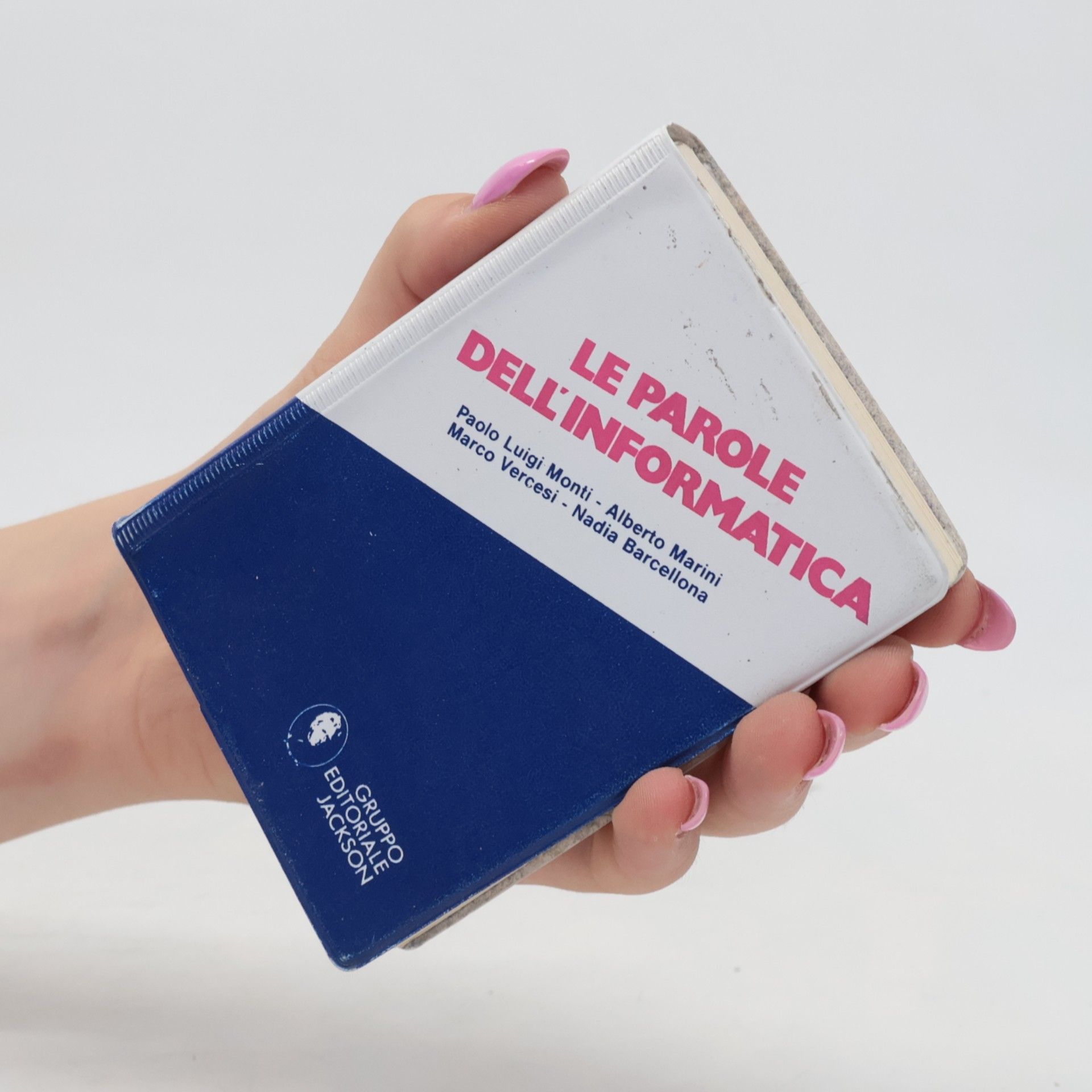 Paolo Luigi Monti Le parole dell'informatica 240