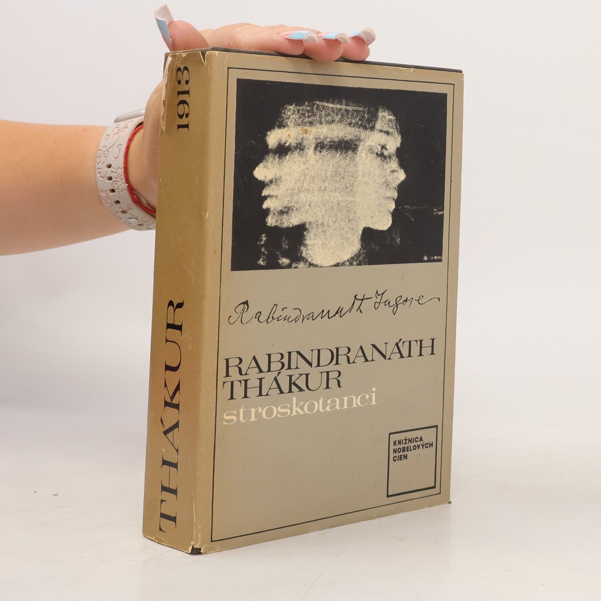 Rabindranath Tagore Stroskotanci