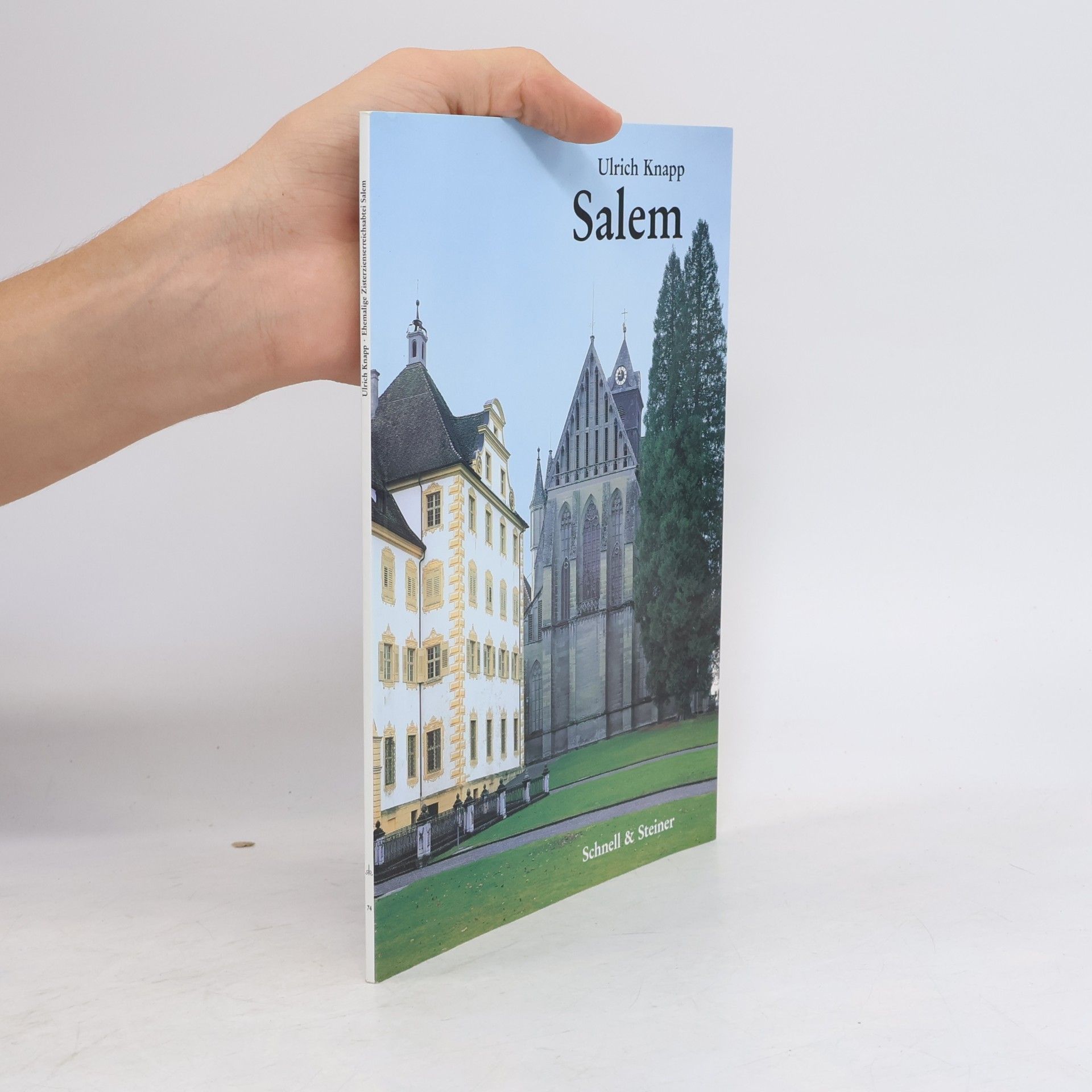 Toni Schneider Salem