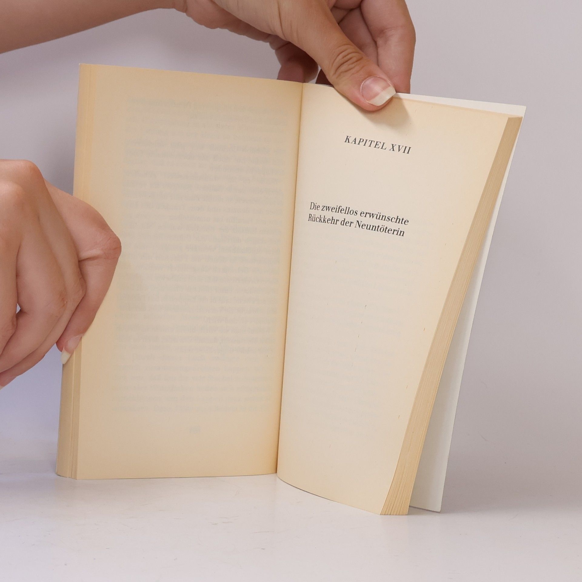 Bryan S. Johnson Christie Malrys Doppelte Buchführung. Roman