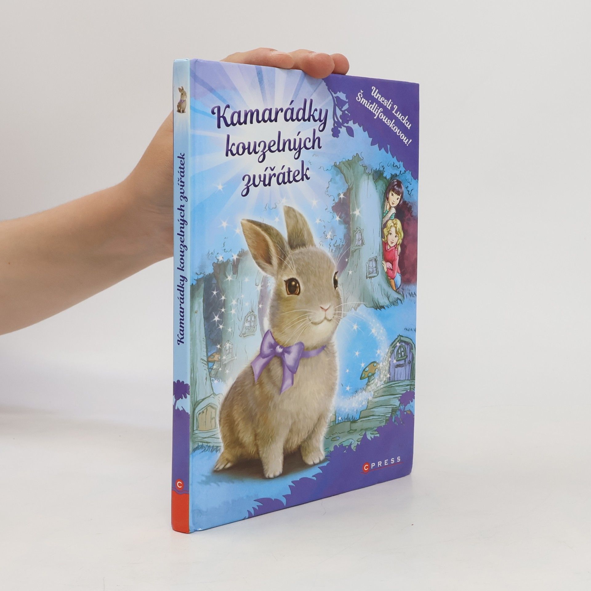 Daisy Meadows Kamarádky kouzelných zvířátek: Unesli Lucku Šmidlifouskovou!