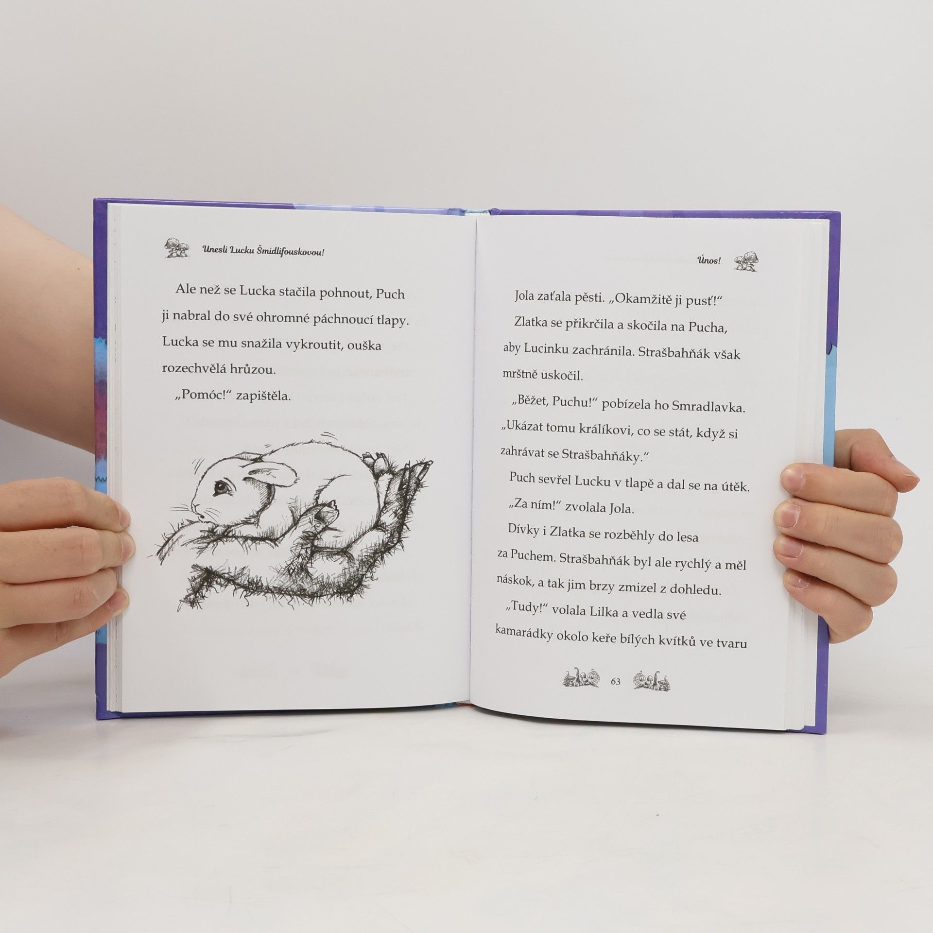 Daisy Meadows Kamarádky kouzelných zvířátek: Unesli Lucku Šmidlifouskovou!