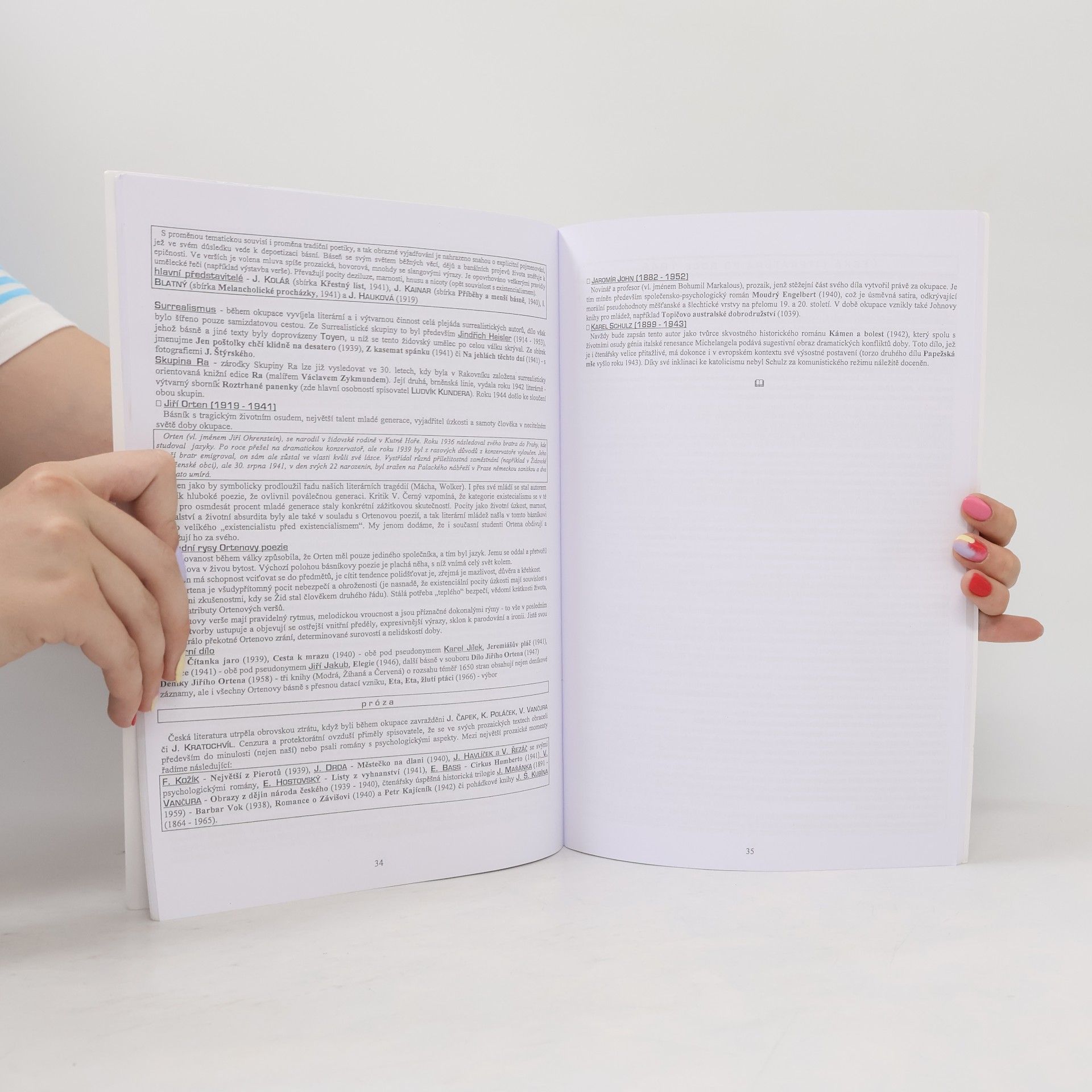 Vladimír Prokop Přehled české literatury 20. století
