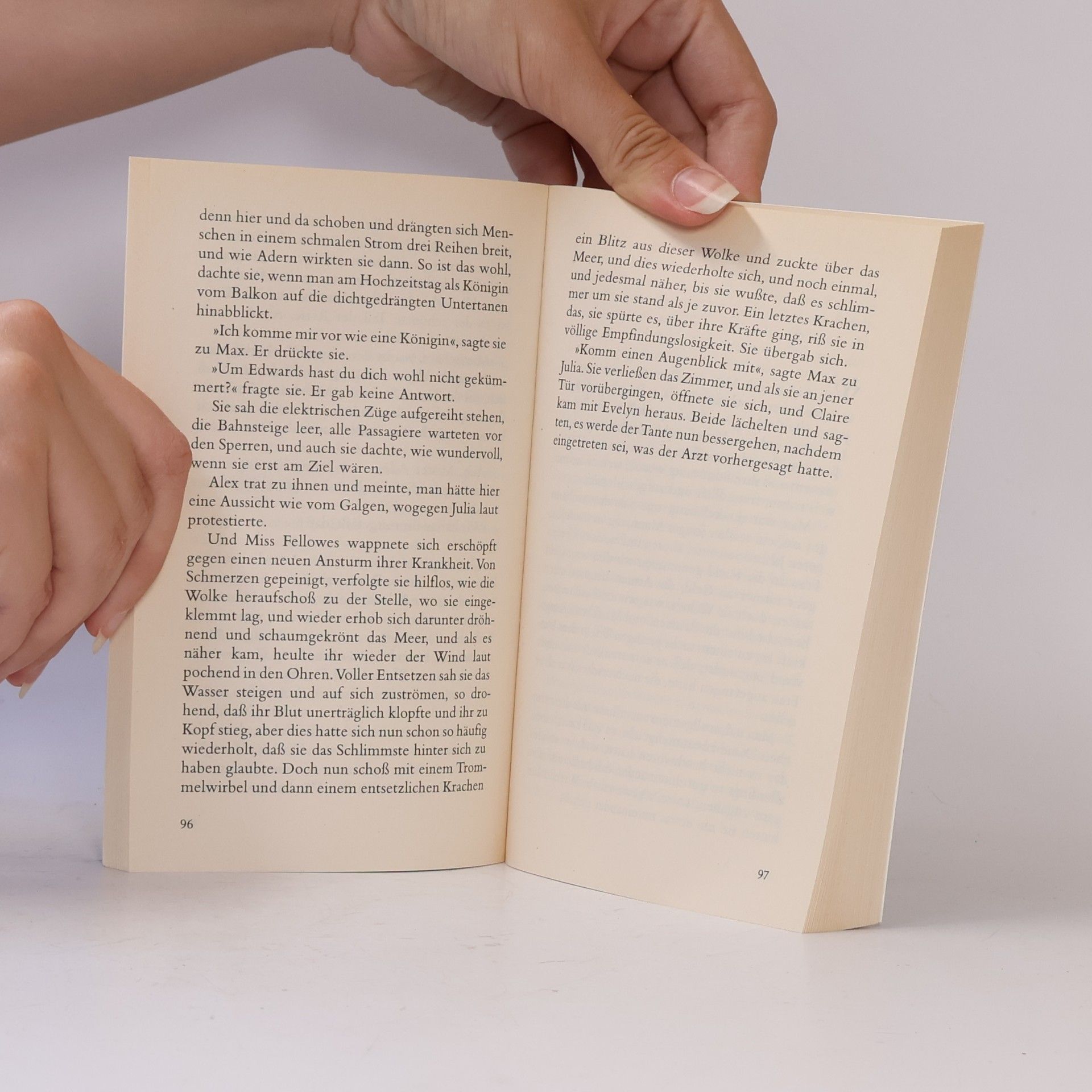 Hank Green Gesellschaftsreise
