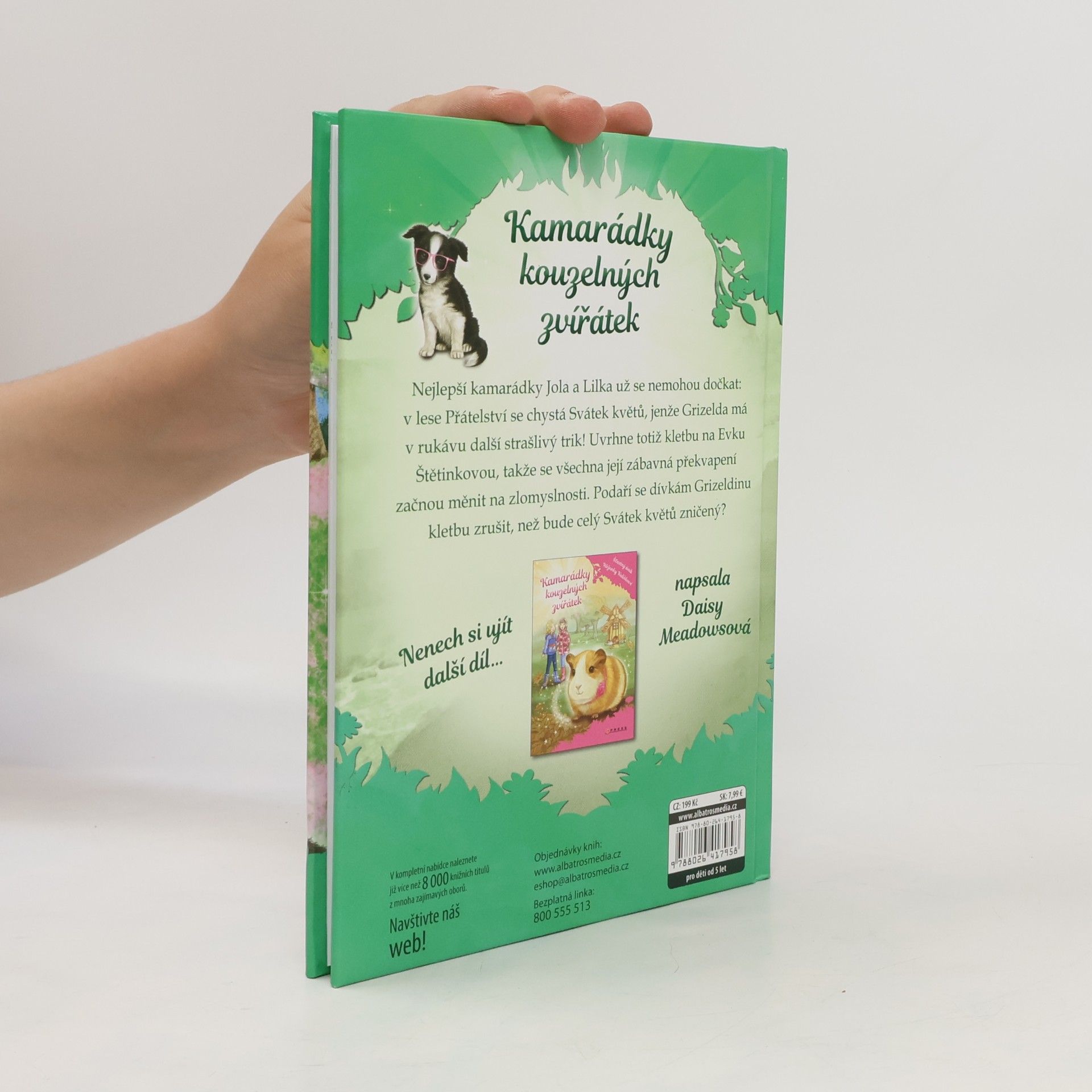 Daisy Meadows Velké překvapení Evky Štětinkové. Kamarádky kouzelných zvířátek