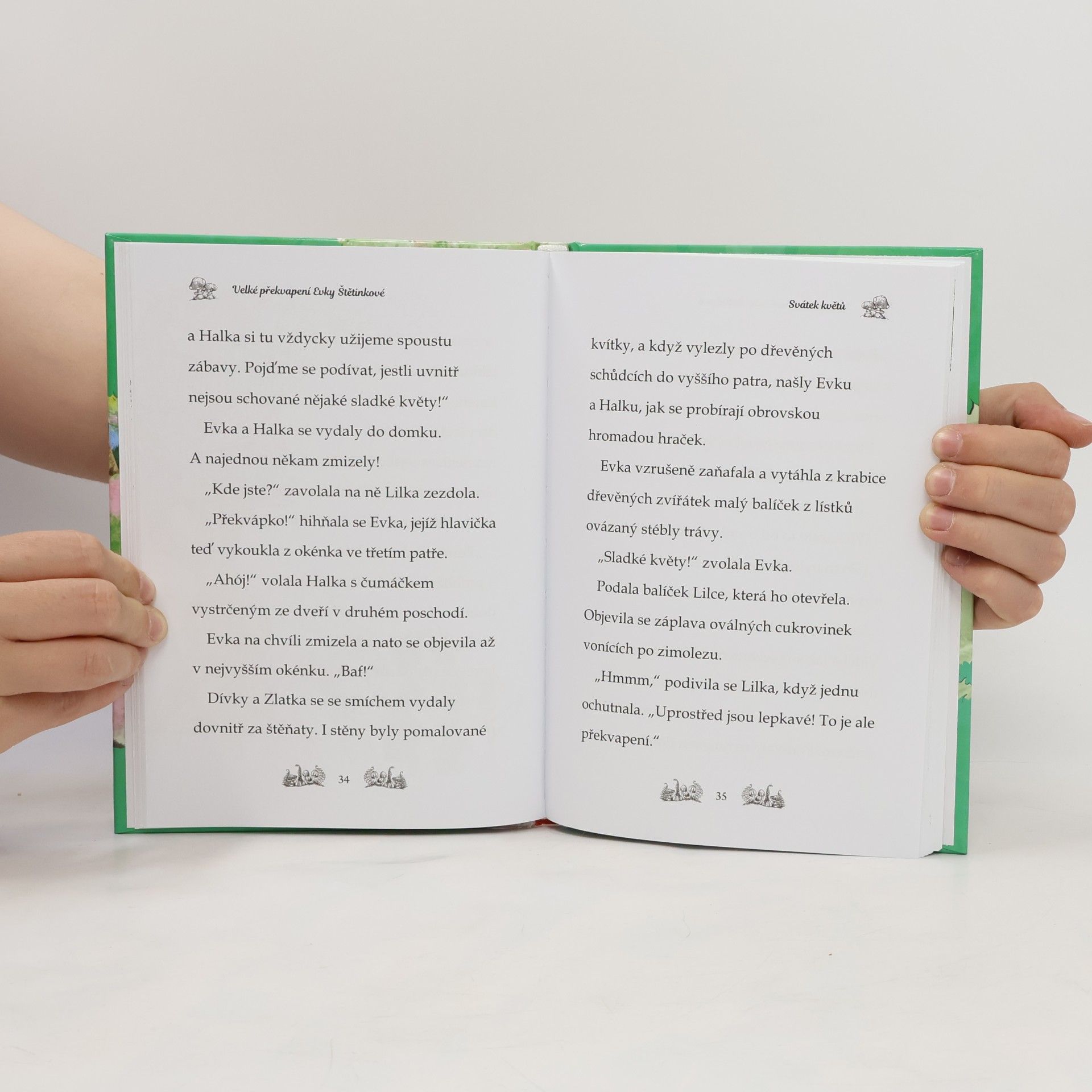 Daisy Meadows Velké překvapení Evky Štětinkové. Kamarádky kouzelných zvířátek