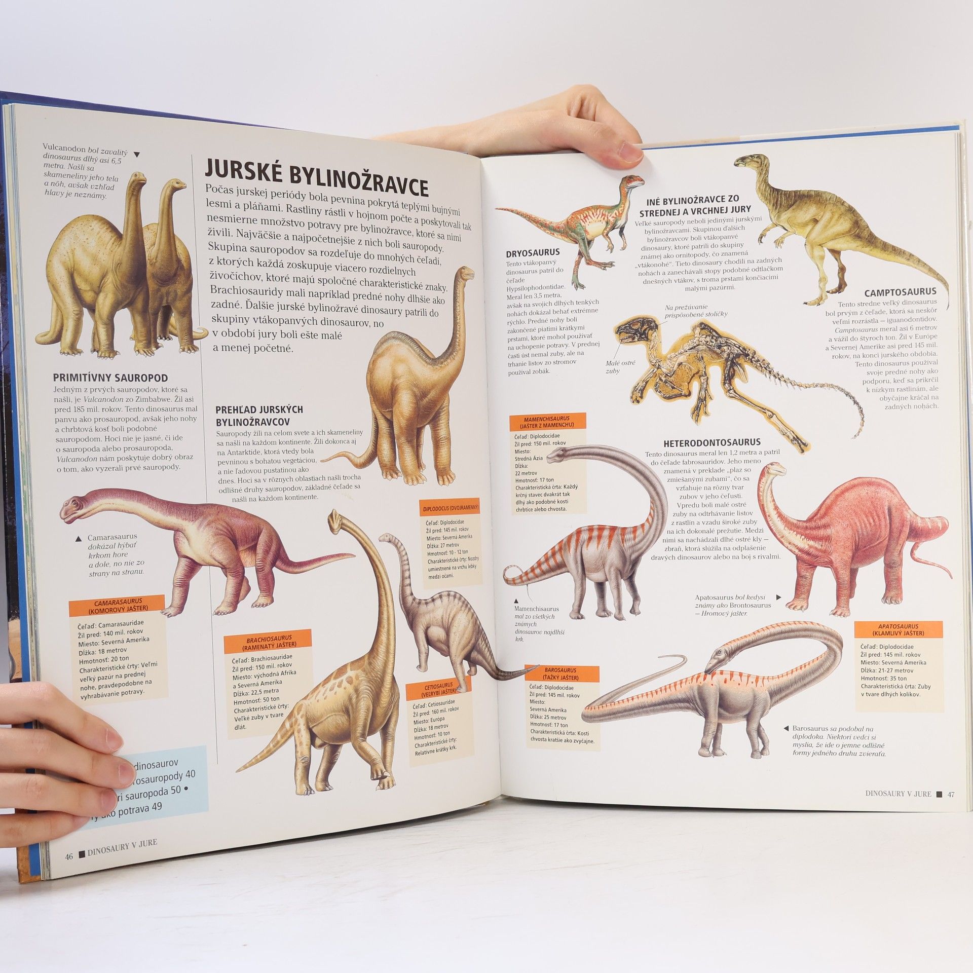 Rupert Matthews Dinosaury. Od minulosti až po súčasnosť