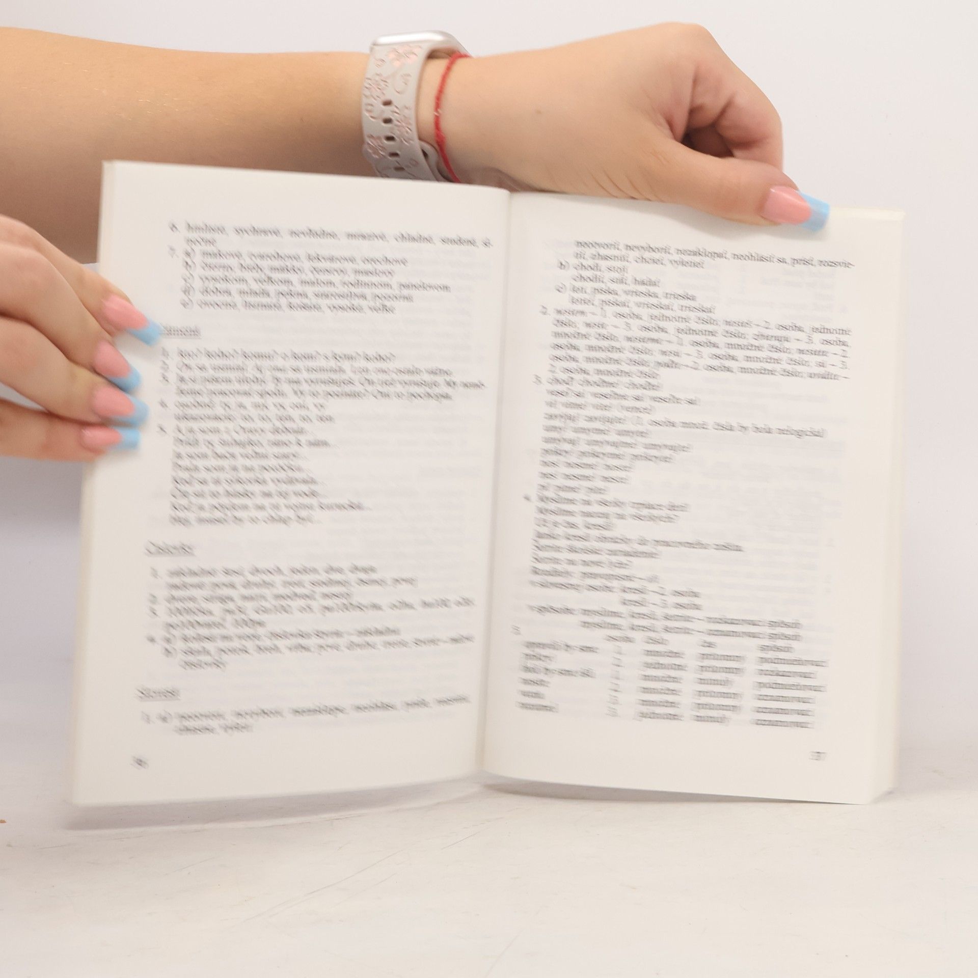 Kolektiv autorů Požiadavky na prijímacie skúšky zo slovenského jazyka a literatúry pre osemročné gymnázia