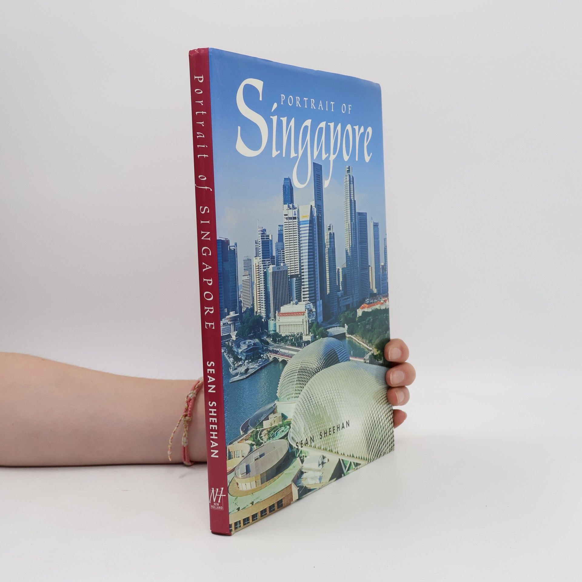 Portrait of Singapore