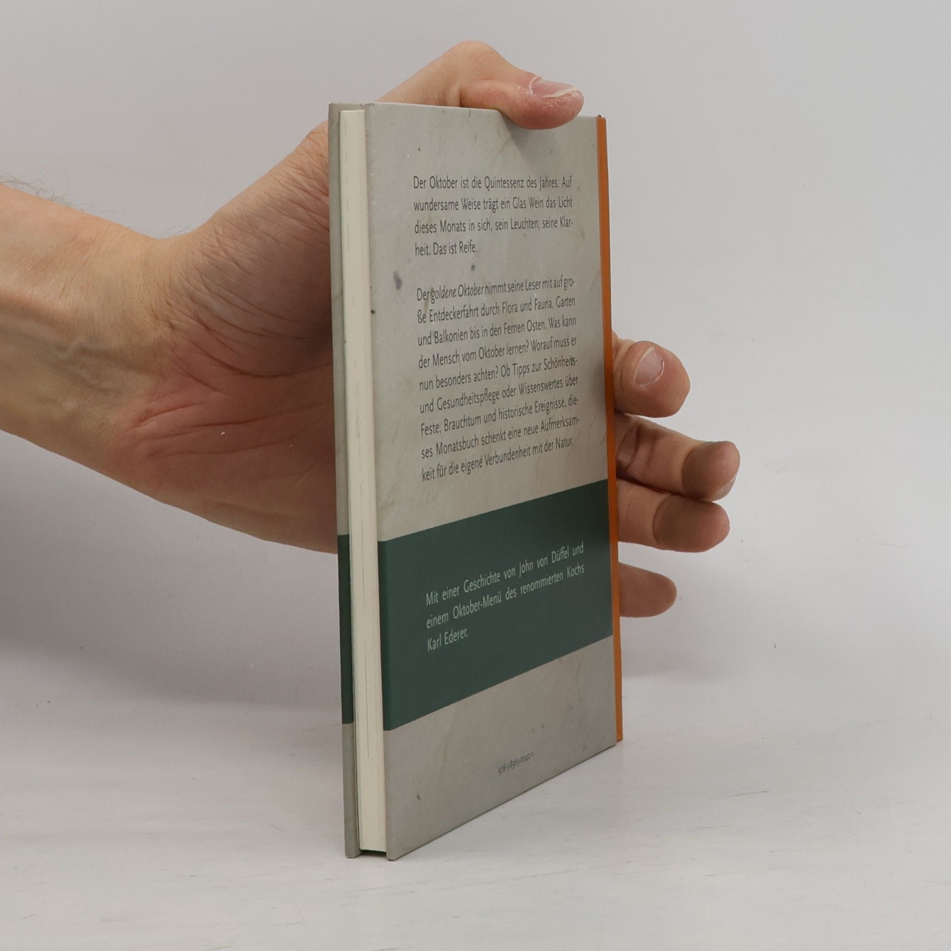 John von Düffel Das Buch vom goldenen Oktober
