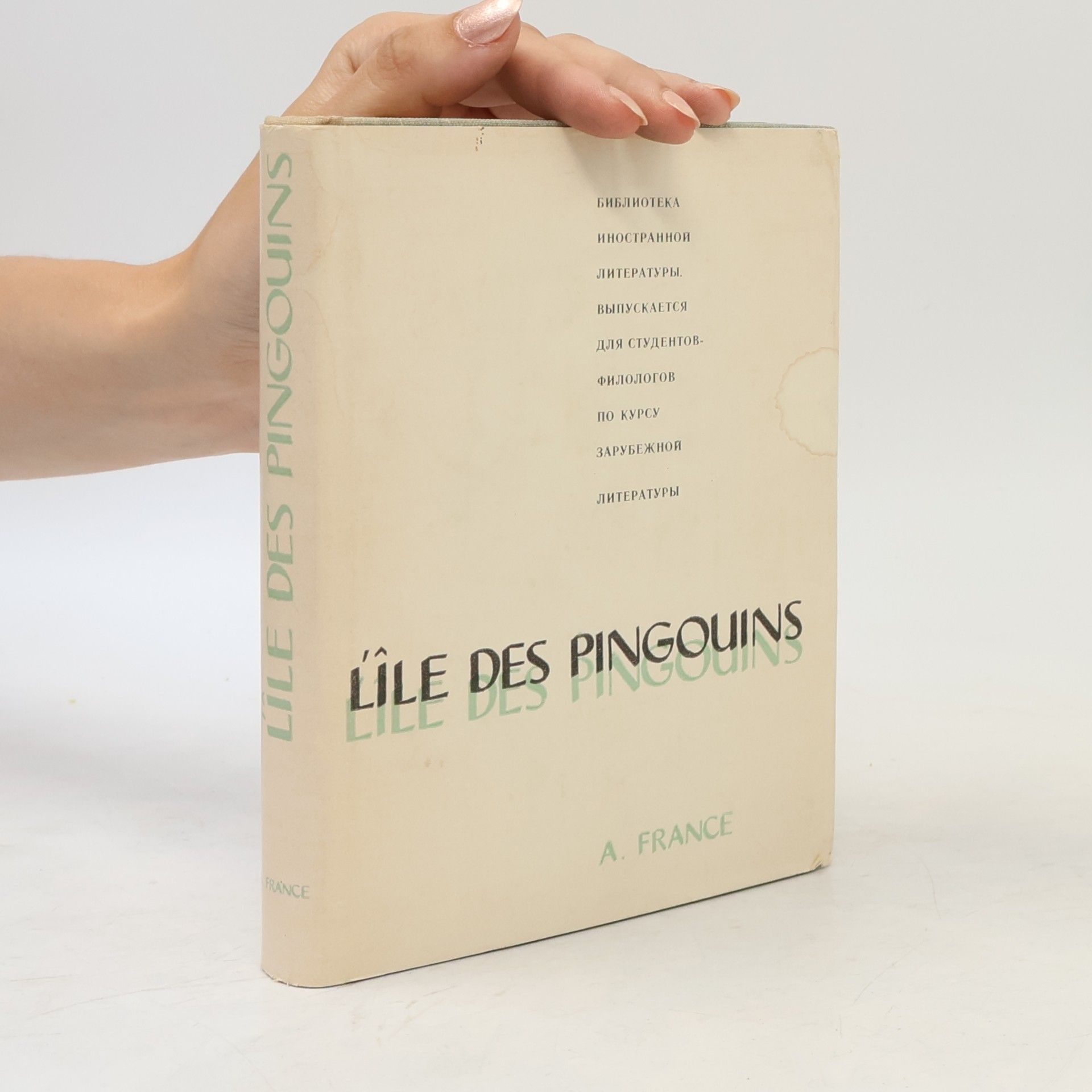 L'ile des pingouins