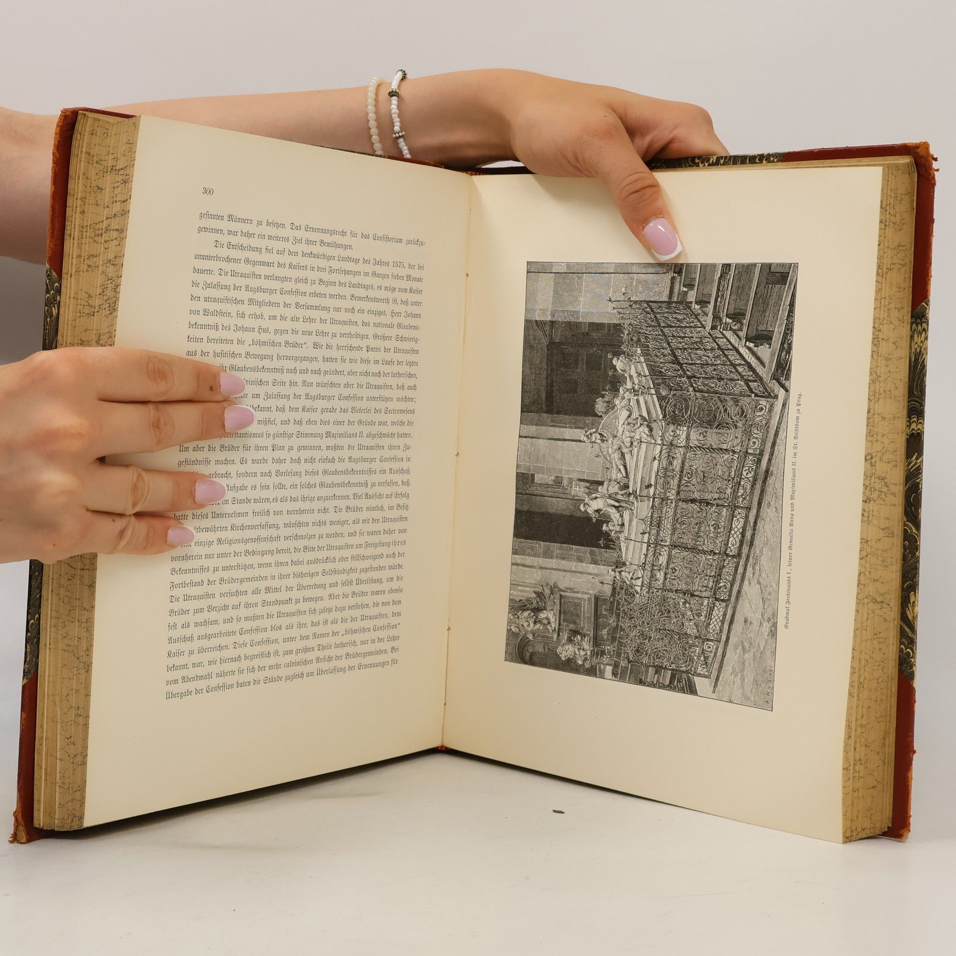 Autores varios Die österreichisch-ungarische Monarchie in Wort und Bild