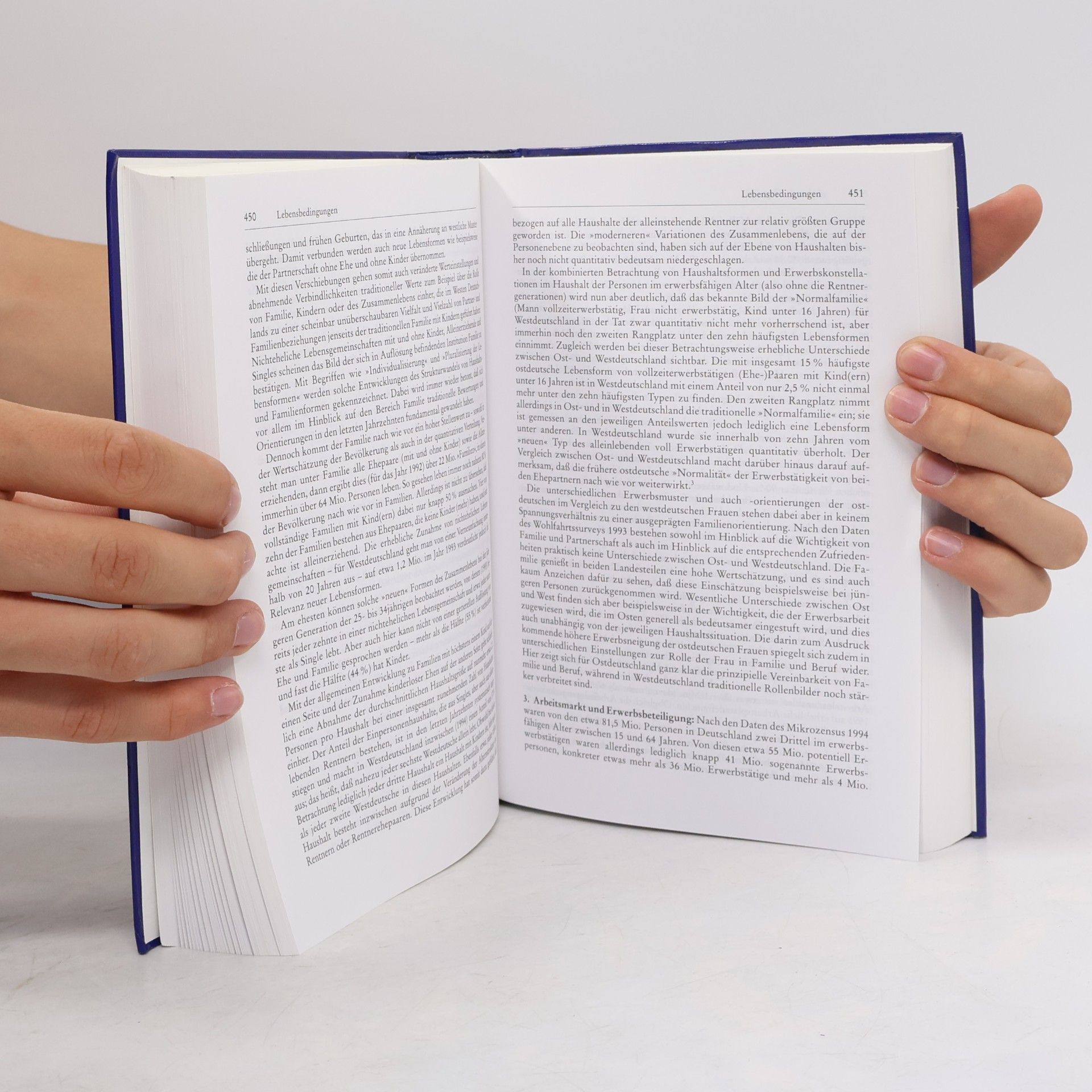 Werner Weidenfeld Handbuch zur deutschen Einheit Neuausgabe 1996