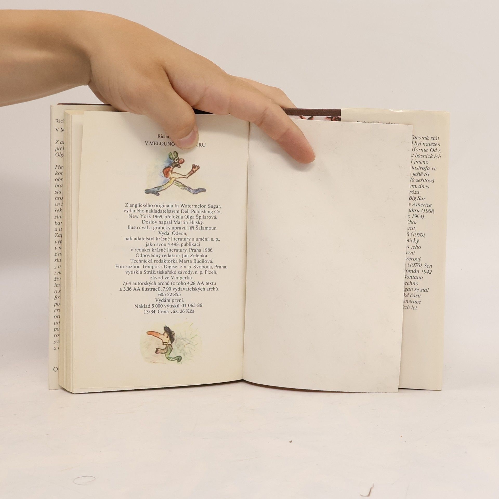 Richard Brautigan V melounovém cukru