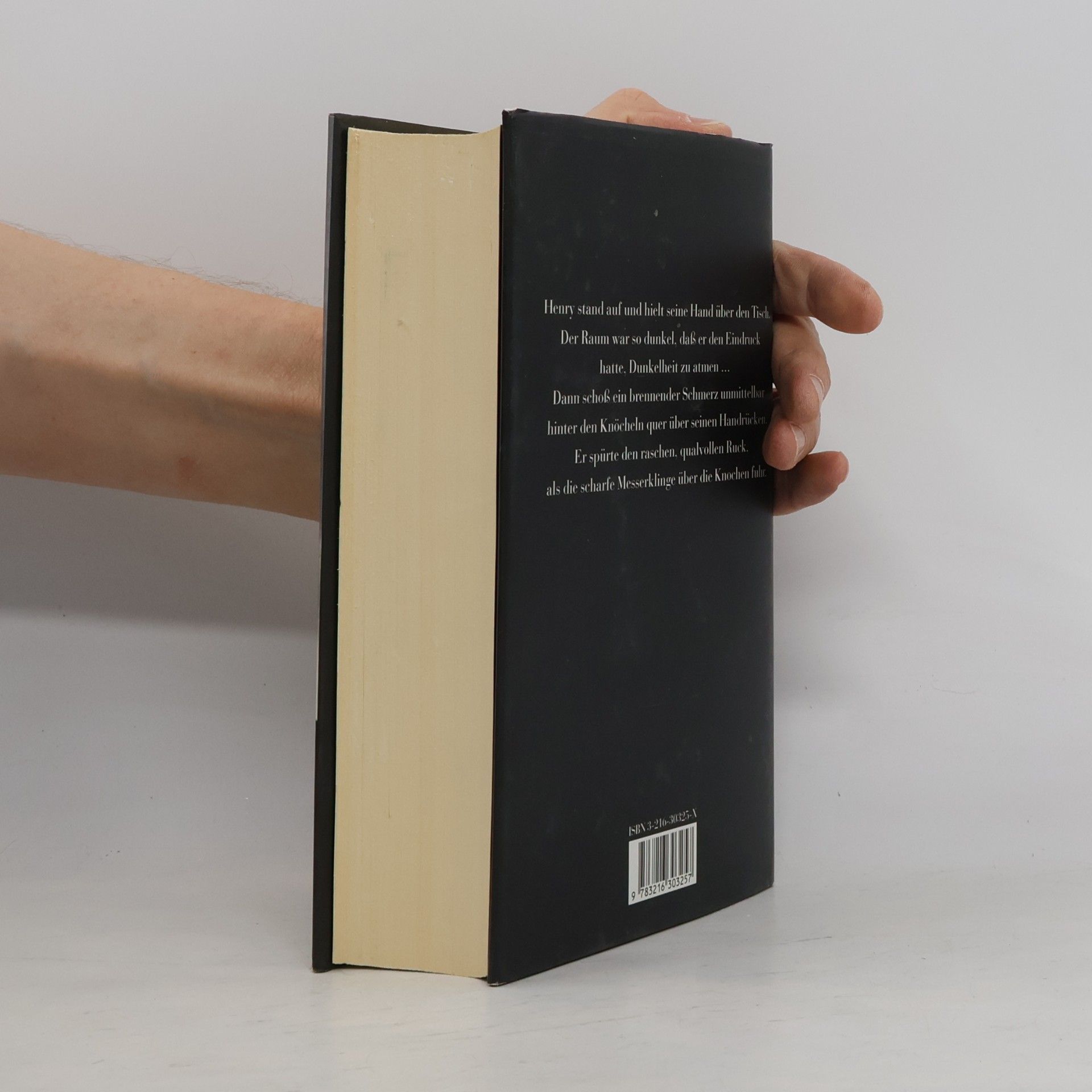 Iris Murdoch Henry und Cato