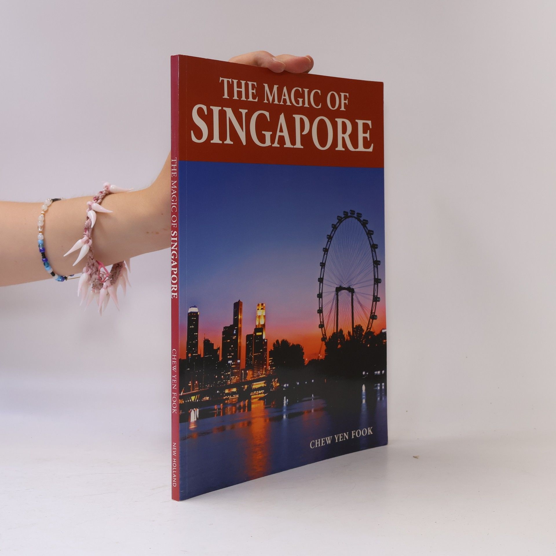Chew Yen Fook The Magic of Singapore