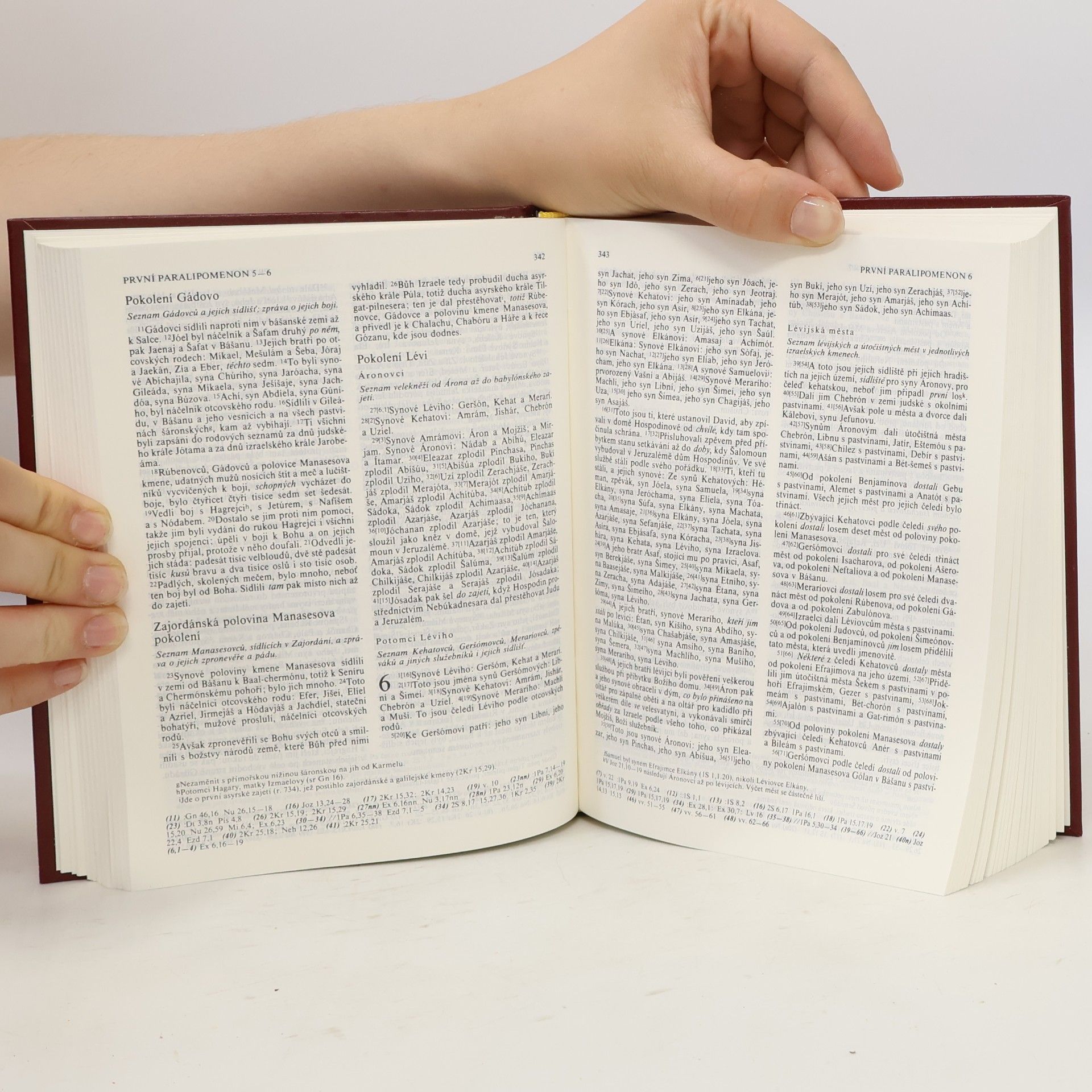 Kolektiv autorů Bible : písmo svaté Starého a Nového zákona : český ekumenický překlad