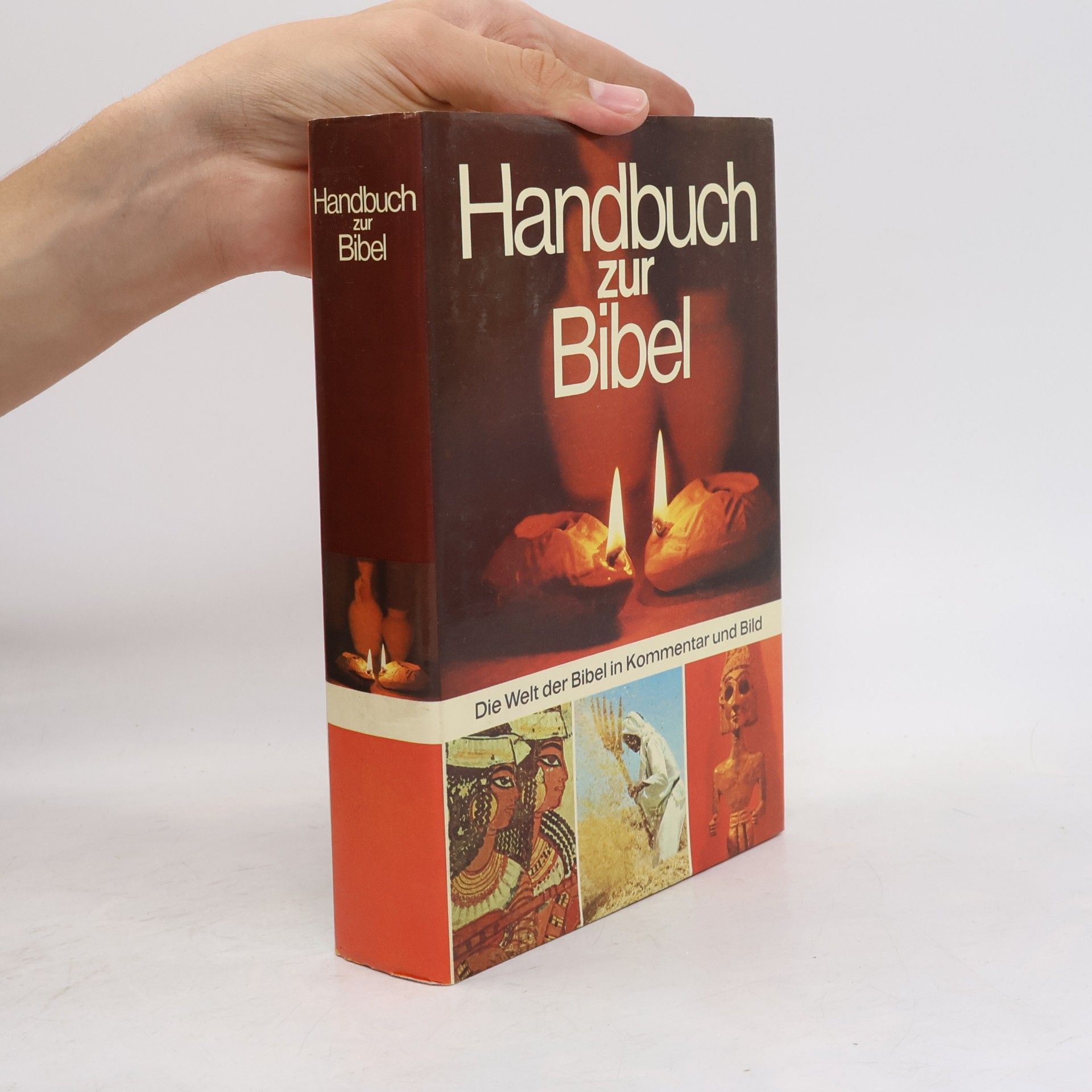 Pat Alexander Handbuch zur Bibel
